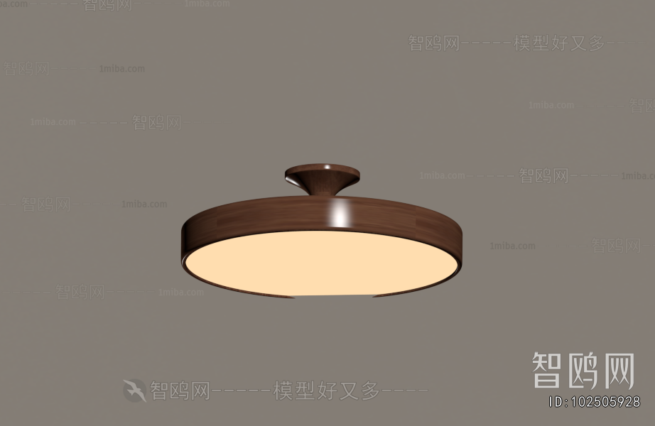 Modern Ceiling Ceiling Lamp