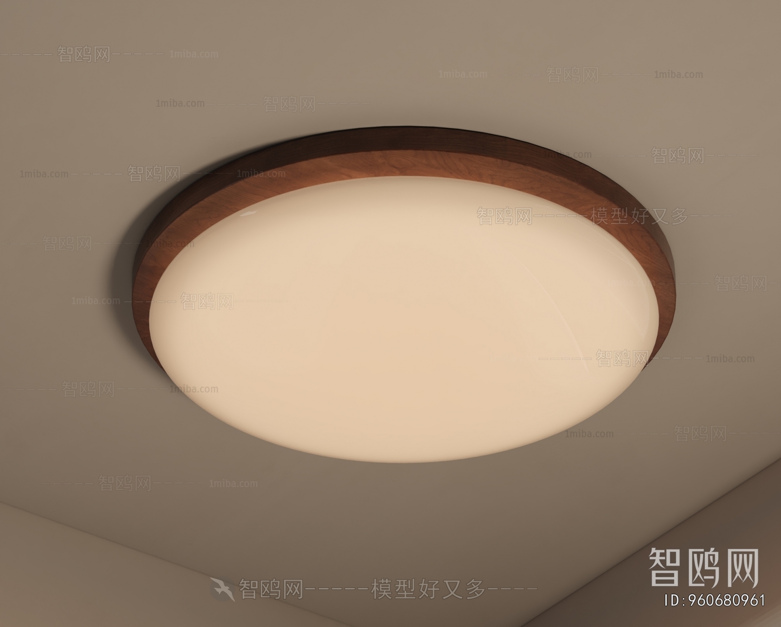 Modern Ceiling Ceiling Lamp