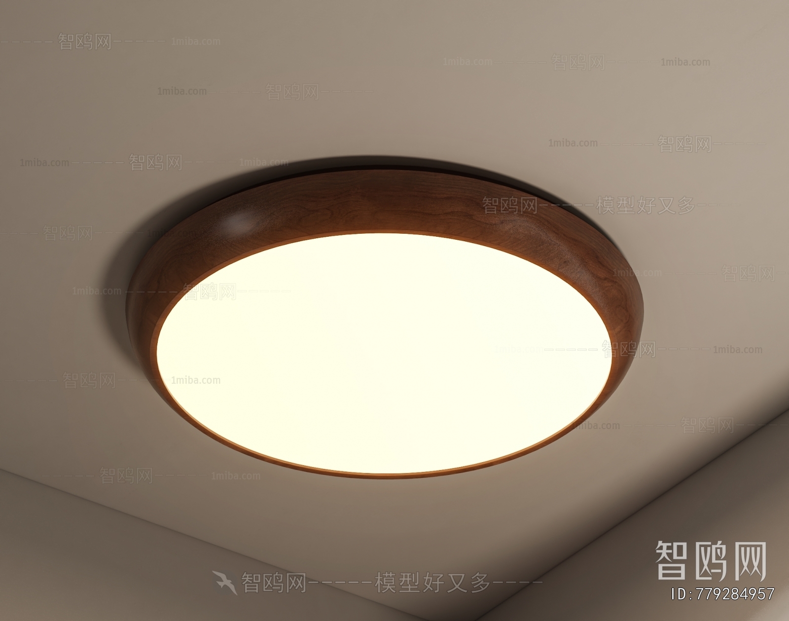 Modern Ceiling Ceiling Lamp