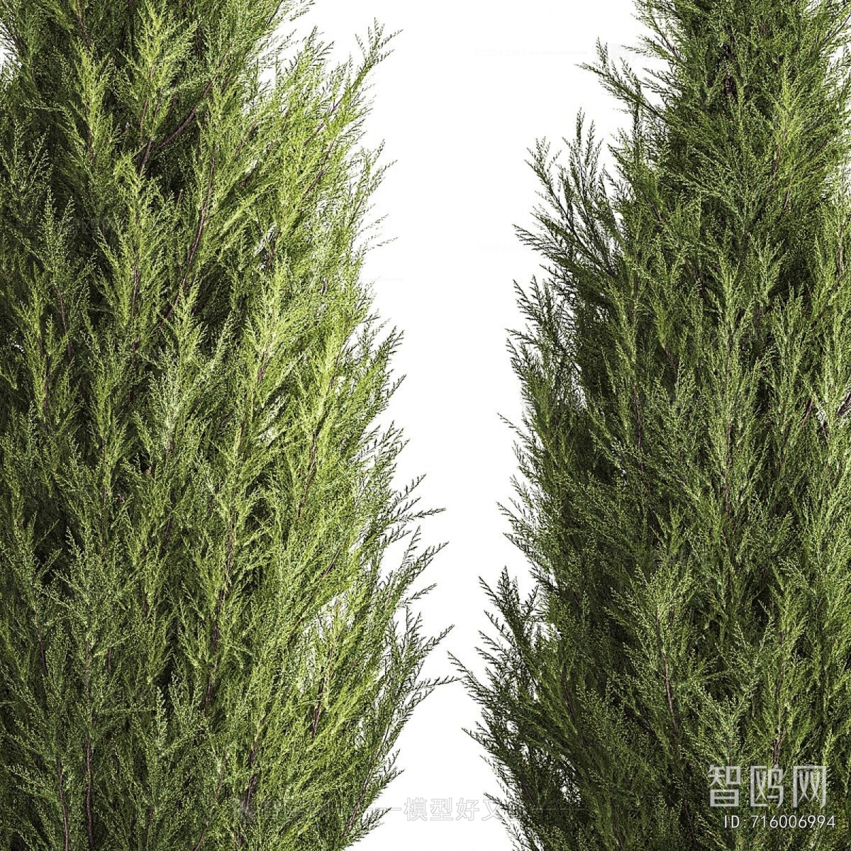 Modern Tree