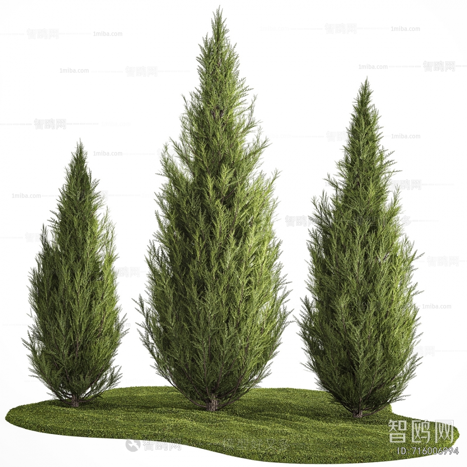 Modern Tree