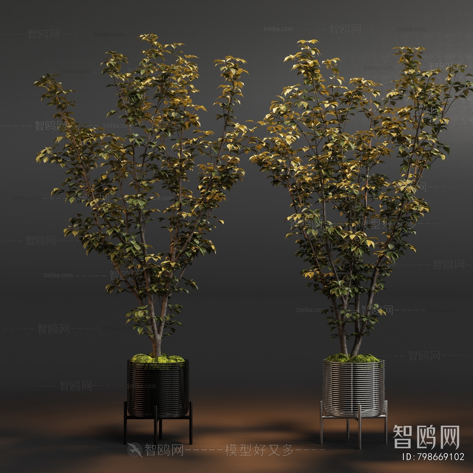 New Chinese Style Bonsai