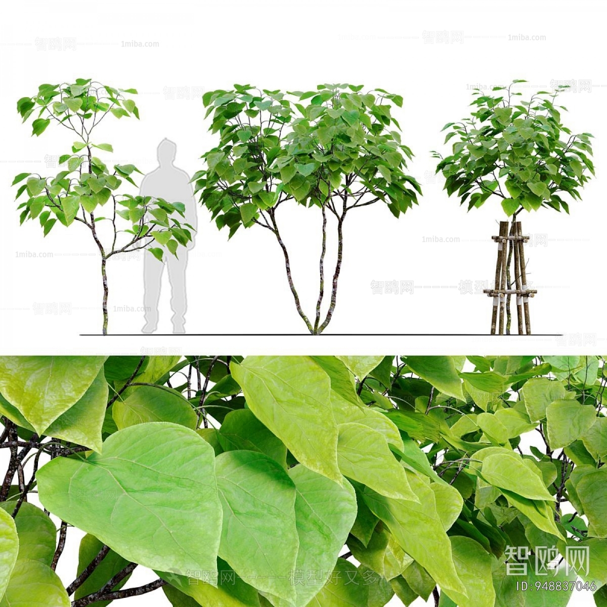 Modern Tree