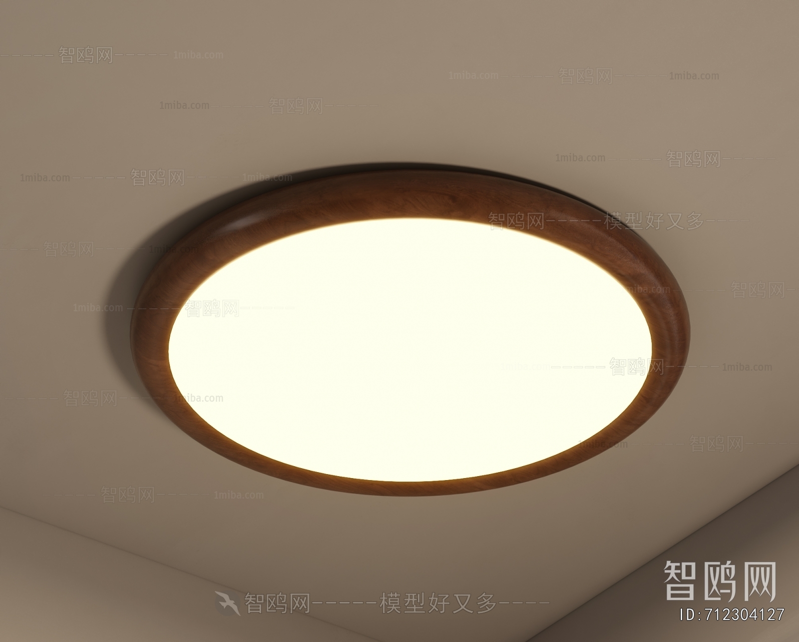 Modern Ceiling Ceiling Lamp