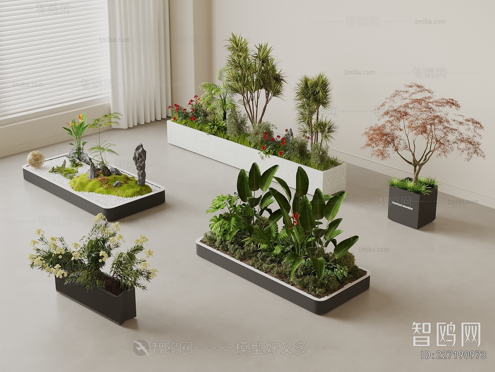 Modern Plant Landscaping