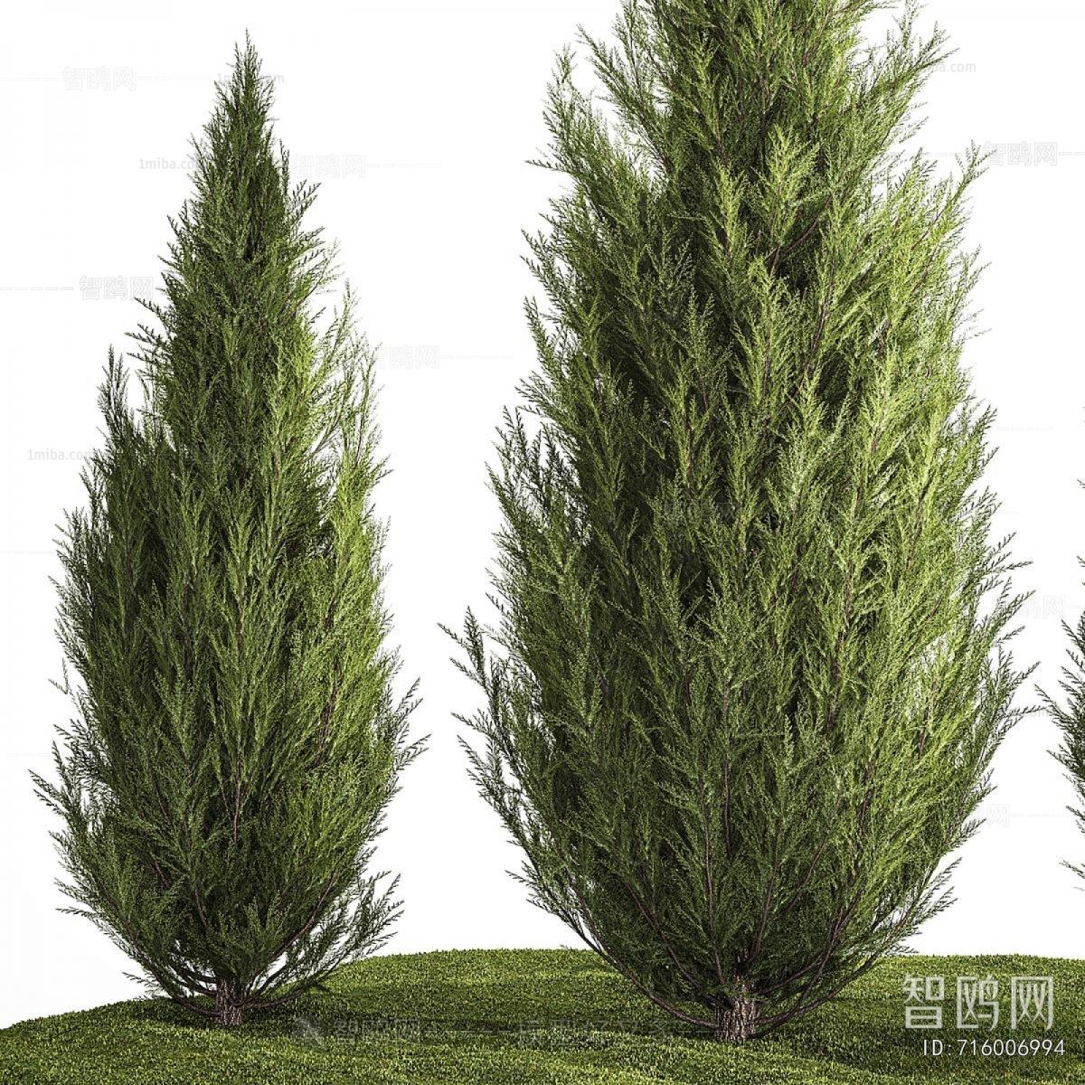 Modern Tree