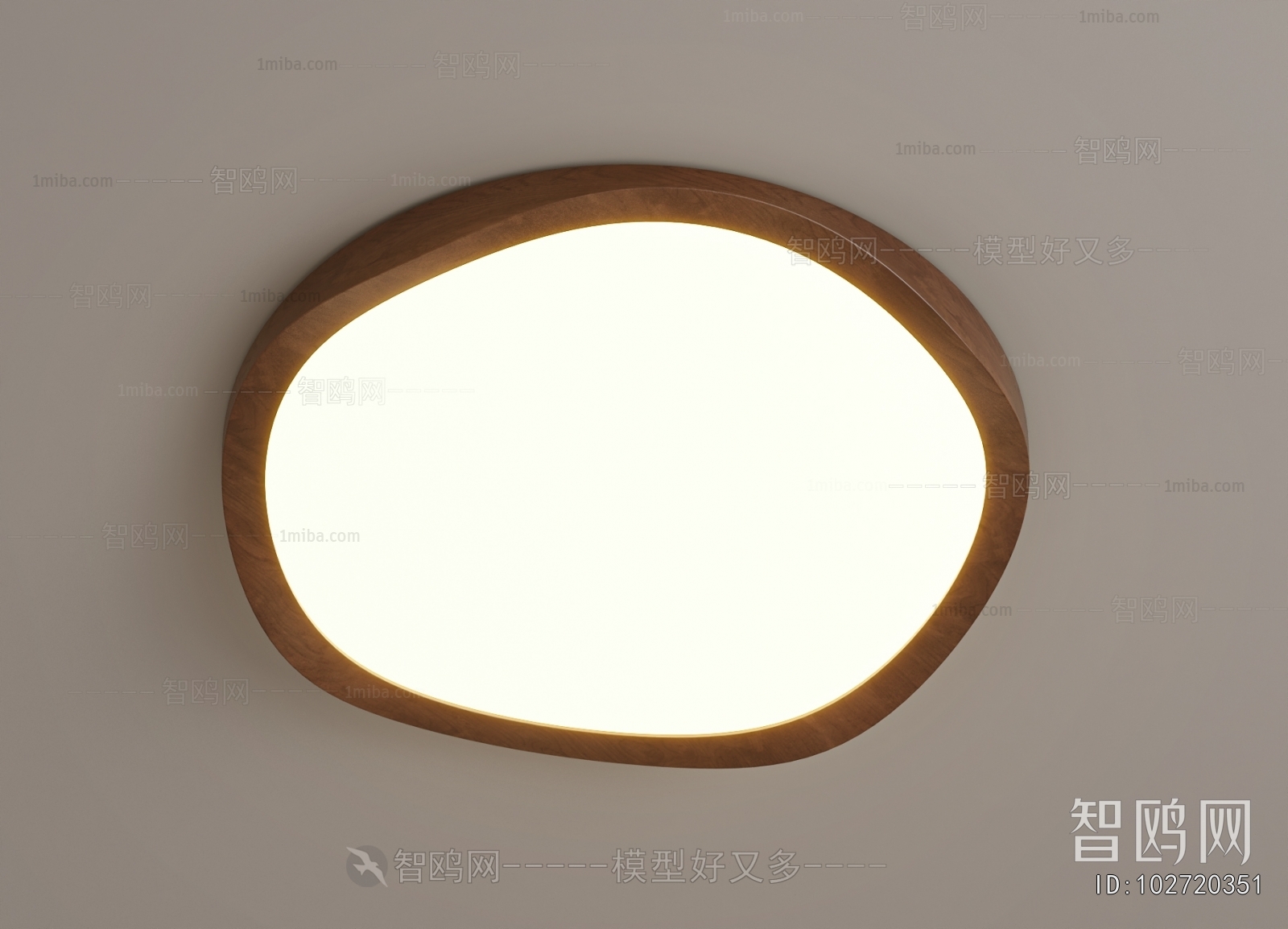 Modern Ceiling Ceiling Lamp