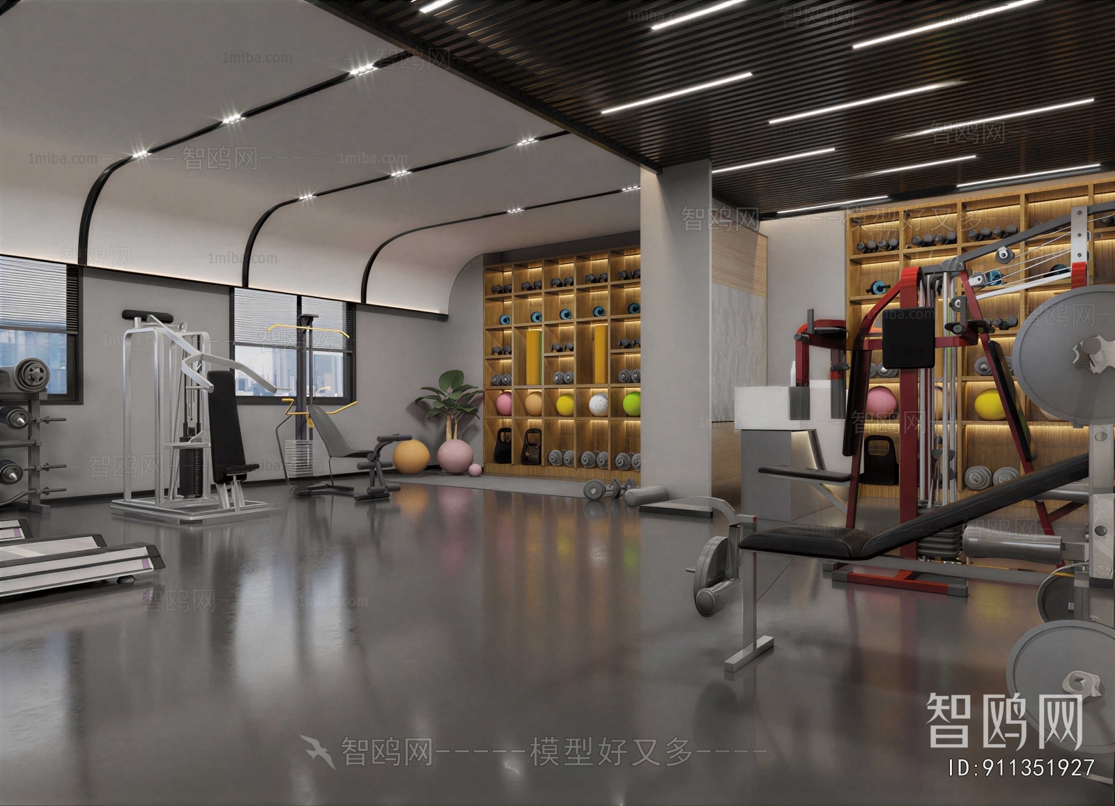 Modern Gym