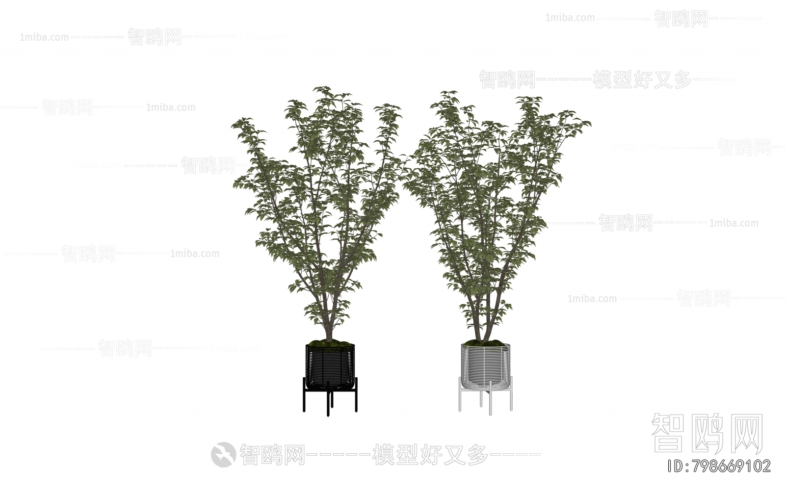 New Chinese Style Bonsai