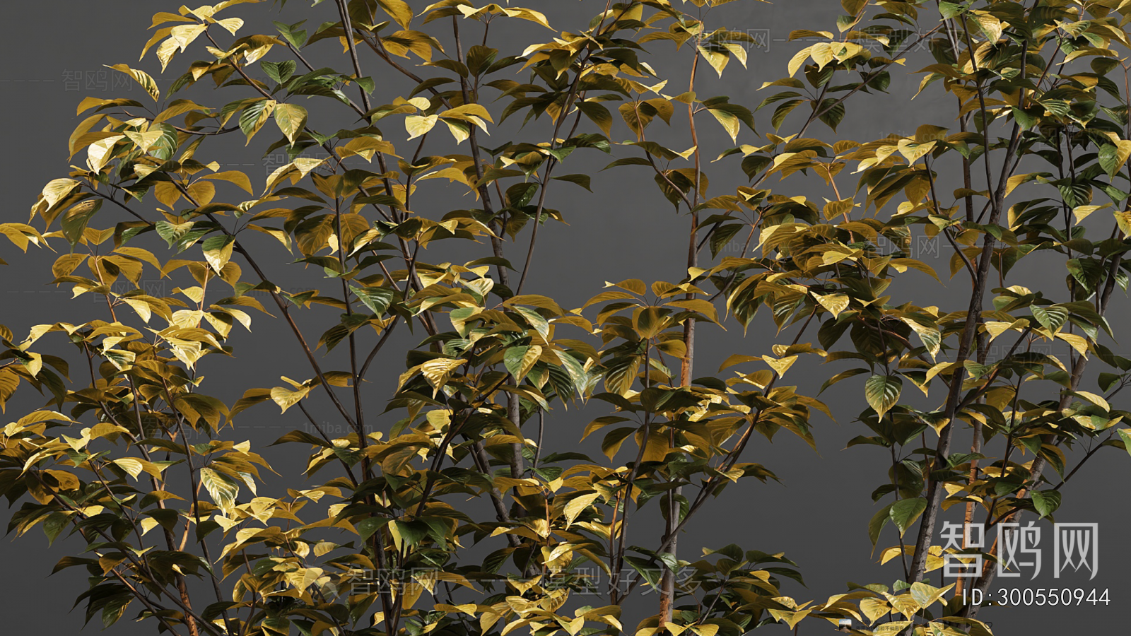 New Chinese Style Bonsai