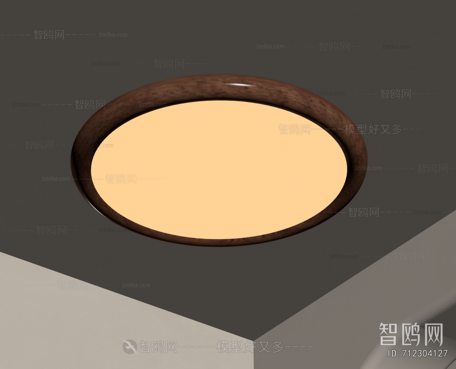 Modern Ceiling Ceiling Lamp