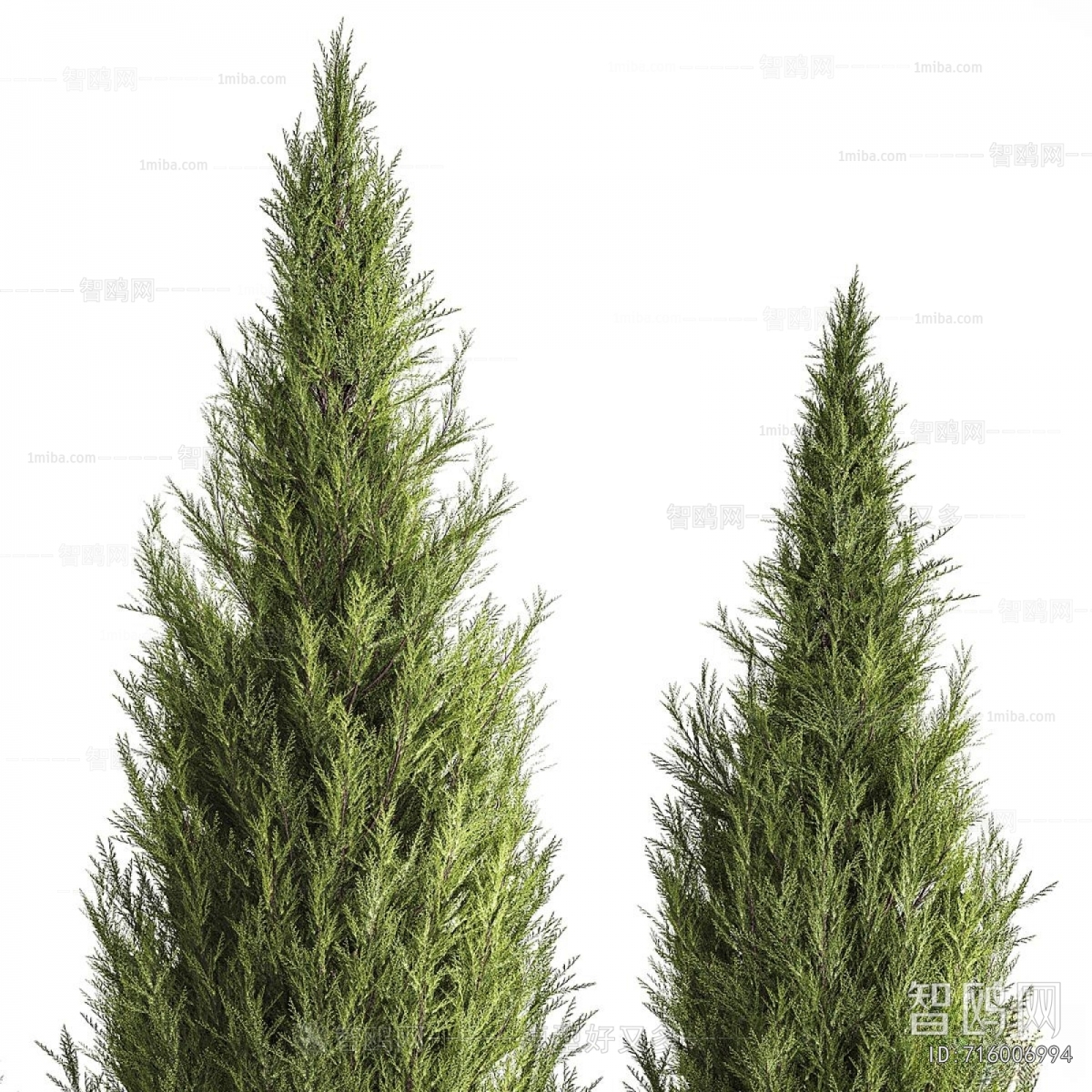 Modern Tree