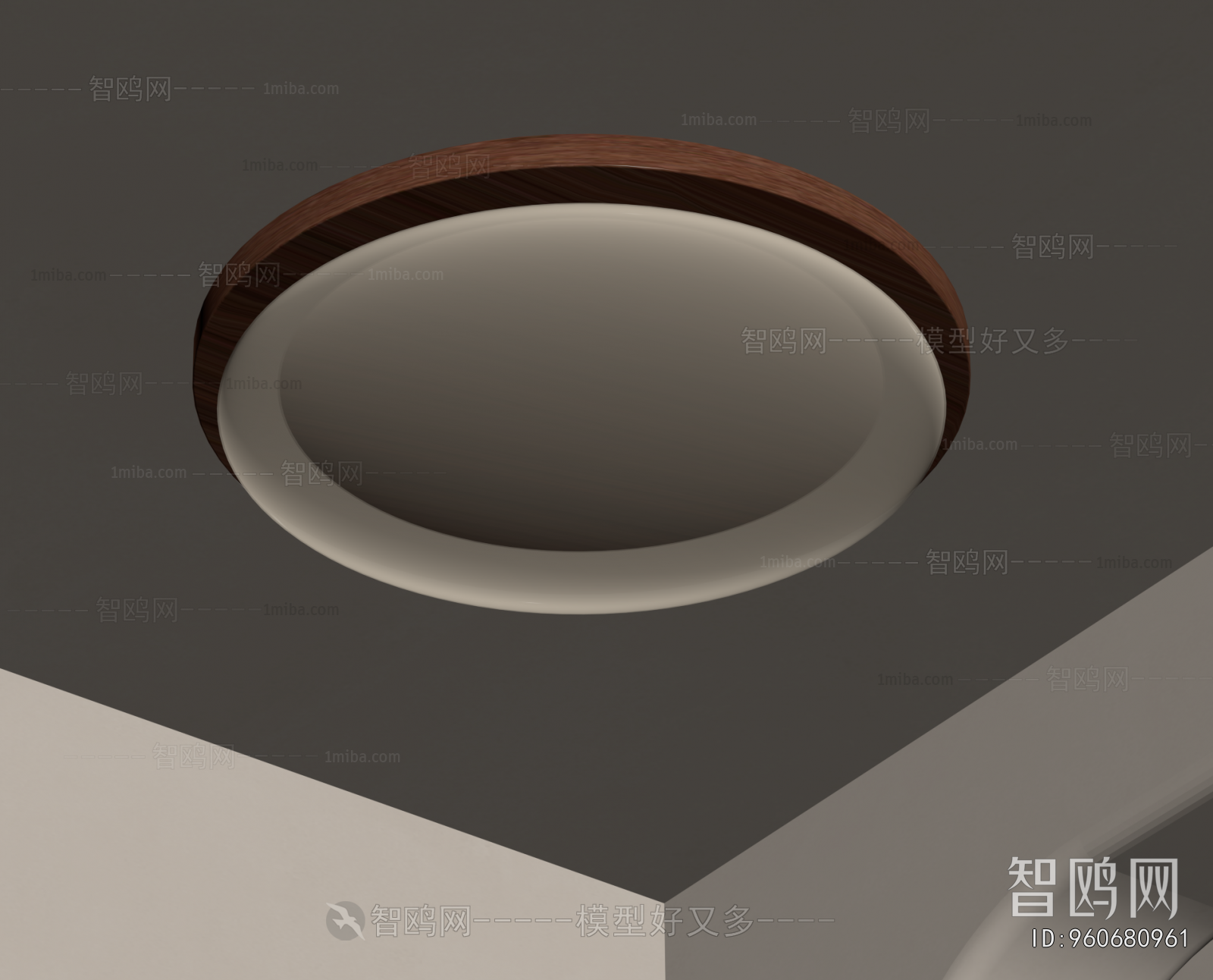 Modern Ceiling Ceiling Lamp