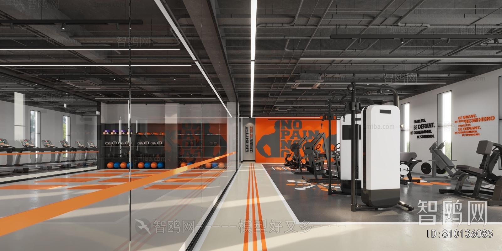 Modern Gym