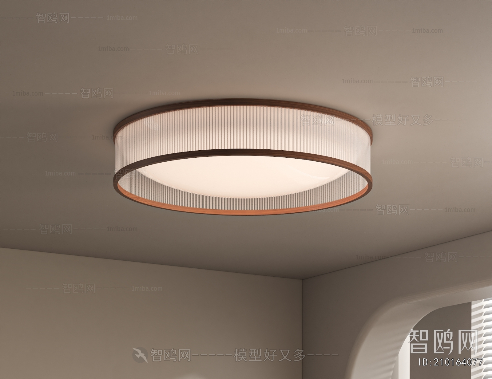 Modern Ceiling Ceiling Lamp