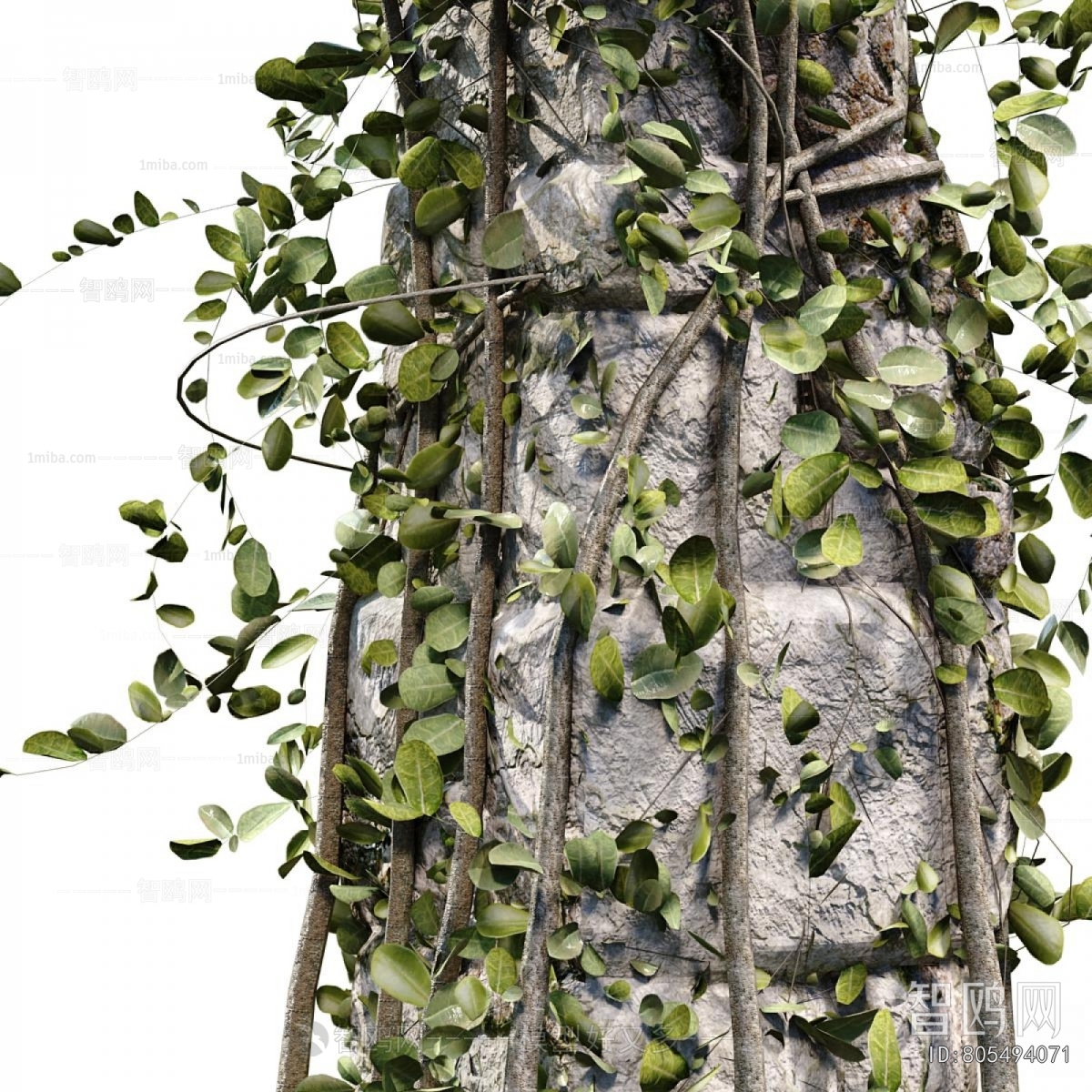 Modern Tree/shrub/grass
