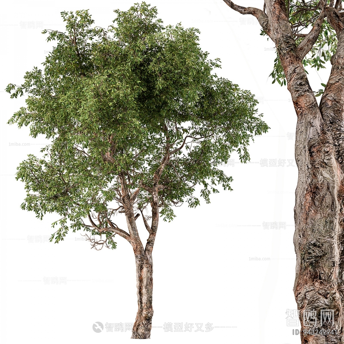 Modern Tree