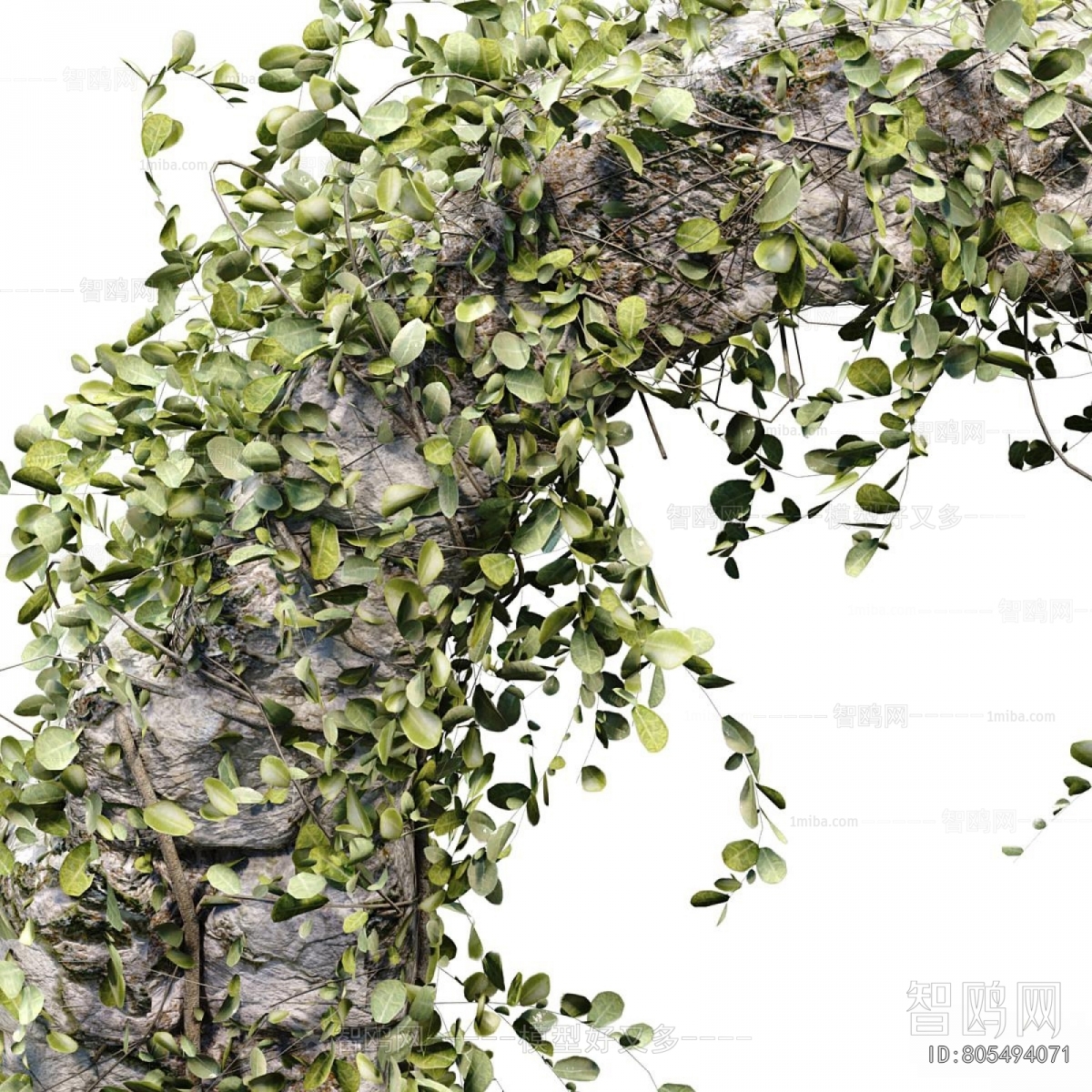 Modern Tree/shrub/grass