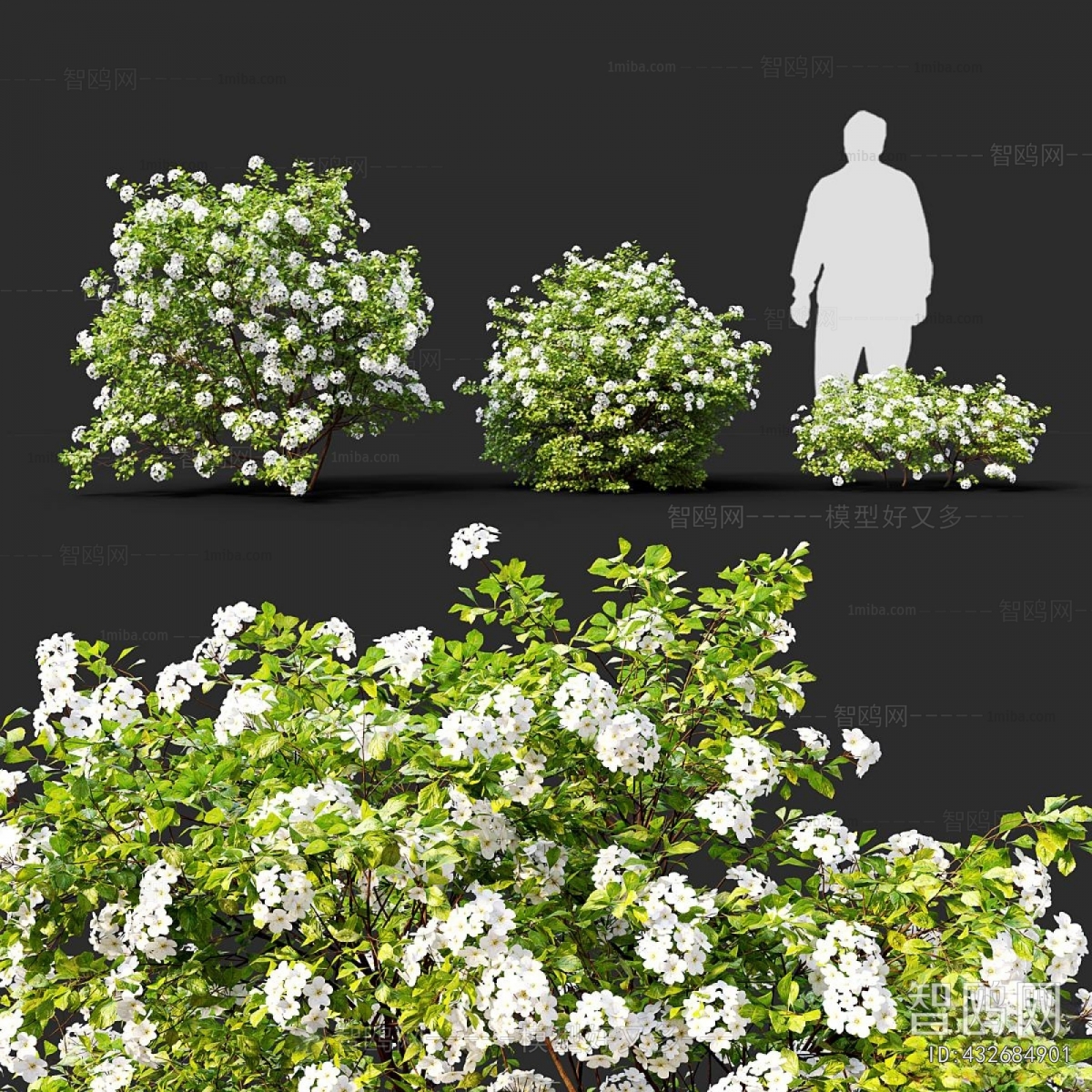 Modern Shrubbery