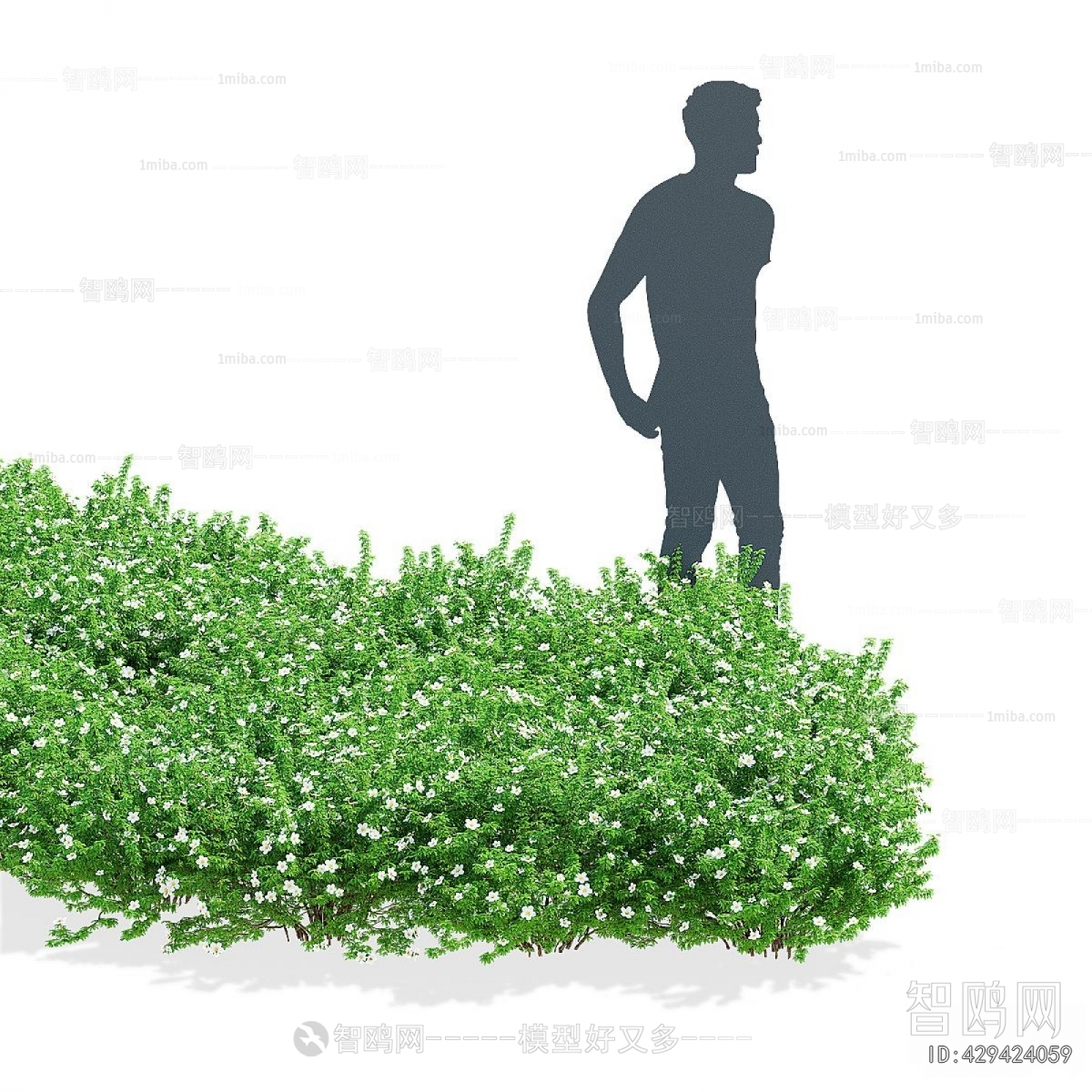 Modern The Grass