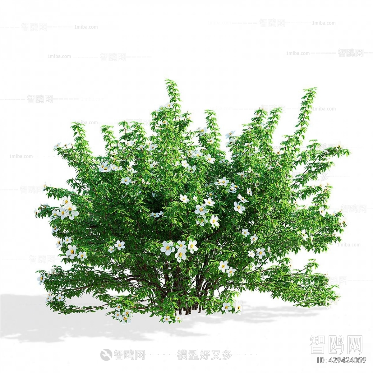 Modern The Grass