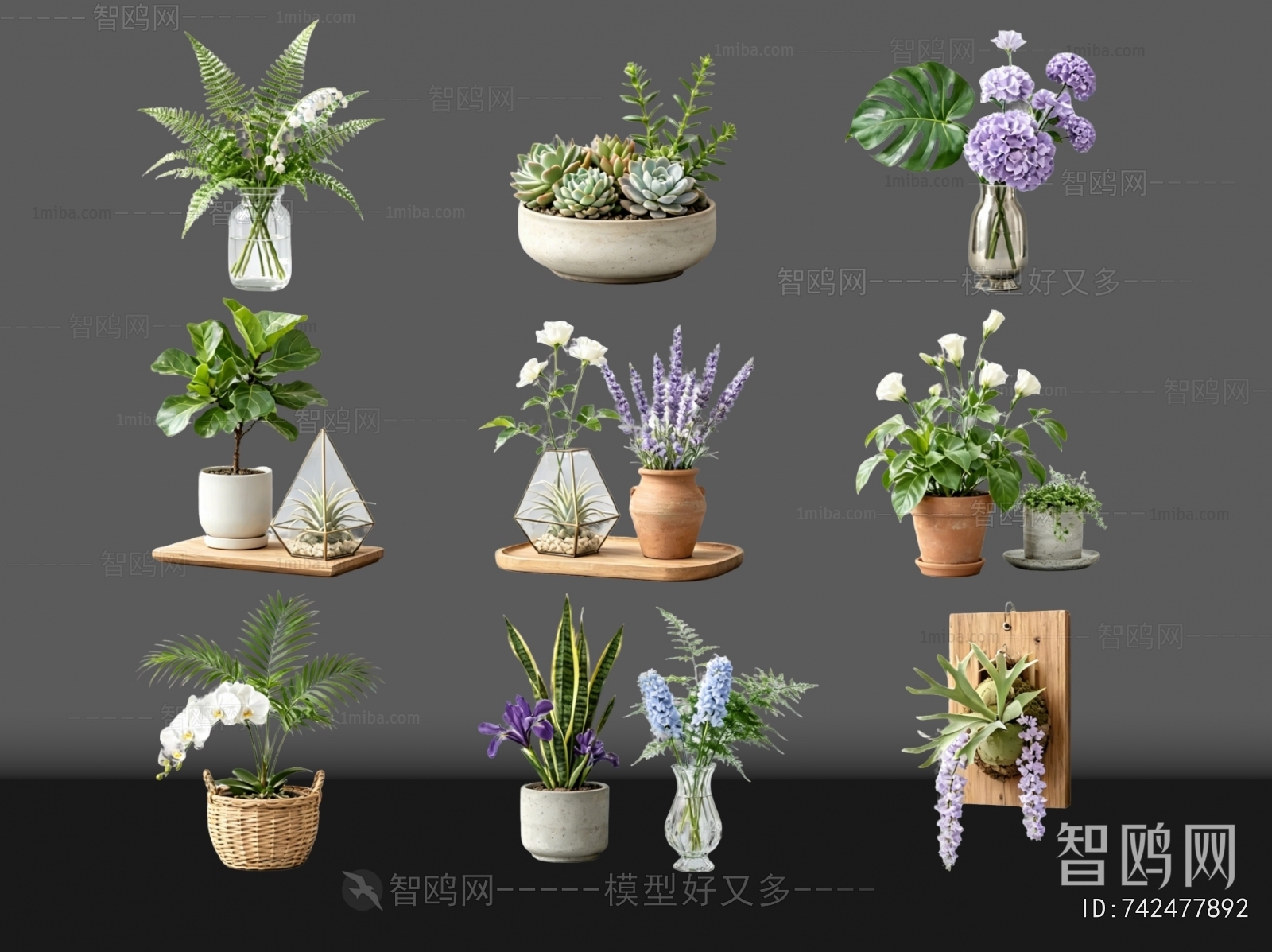 Modern Ground Green Plant Potted Plants