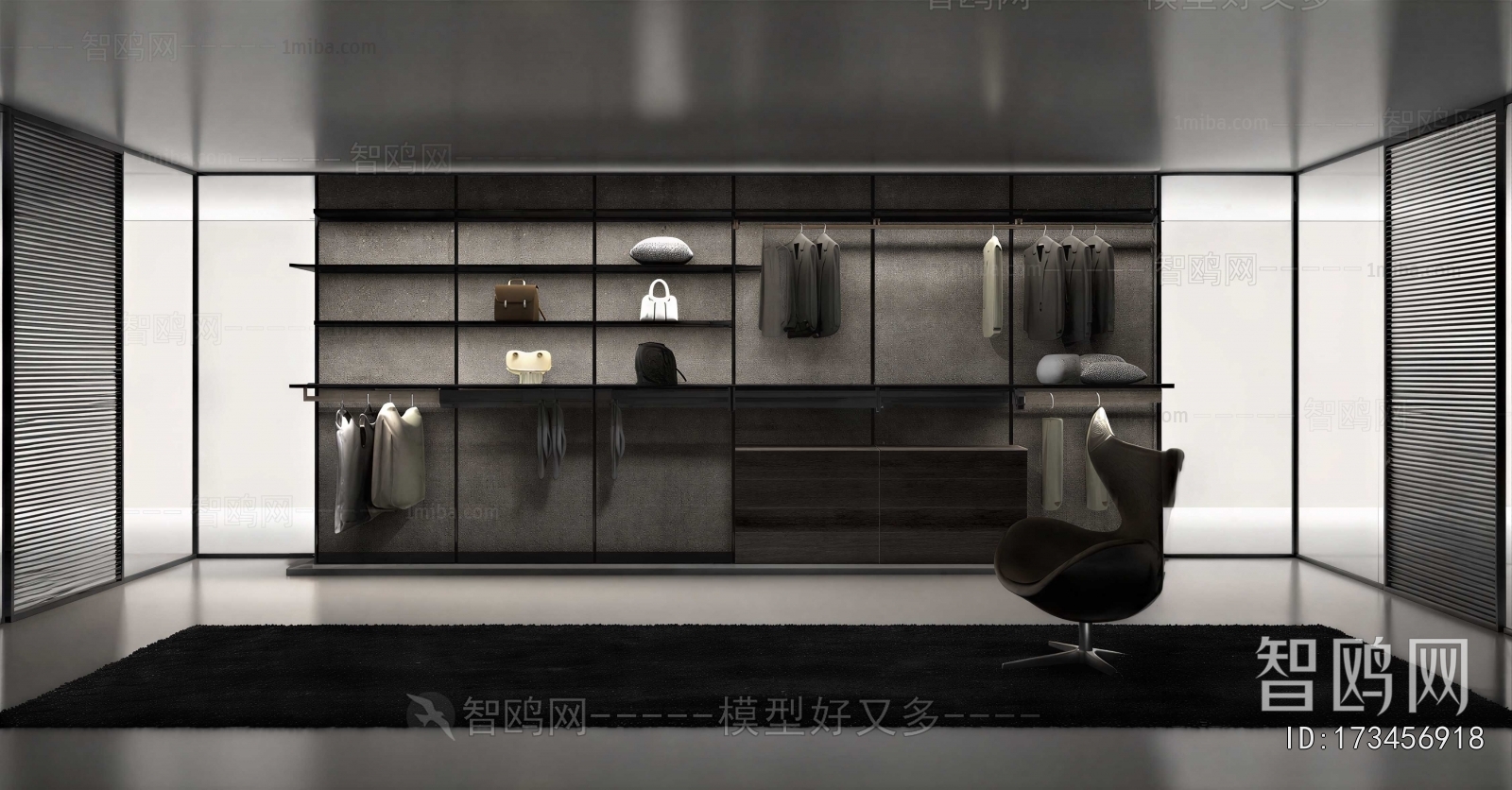 Modern Clothes Storage Area