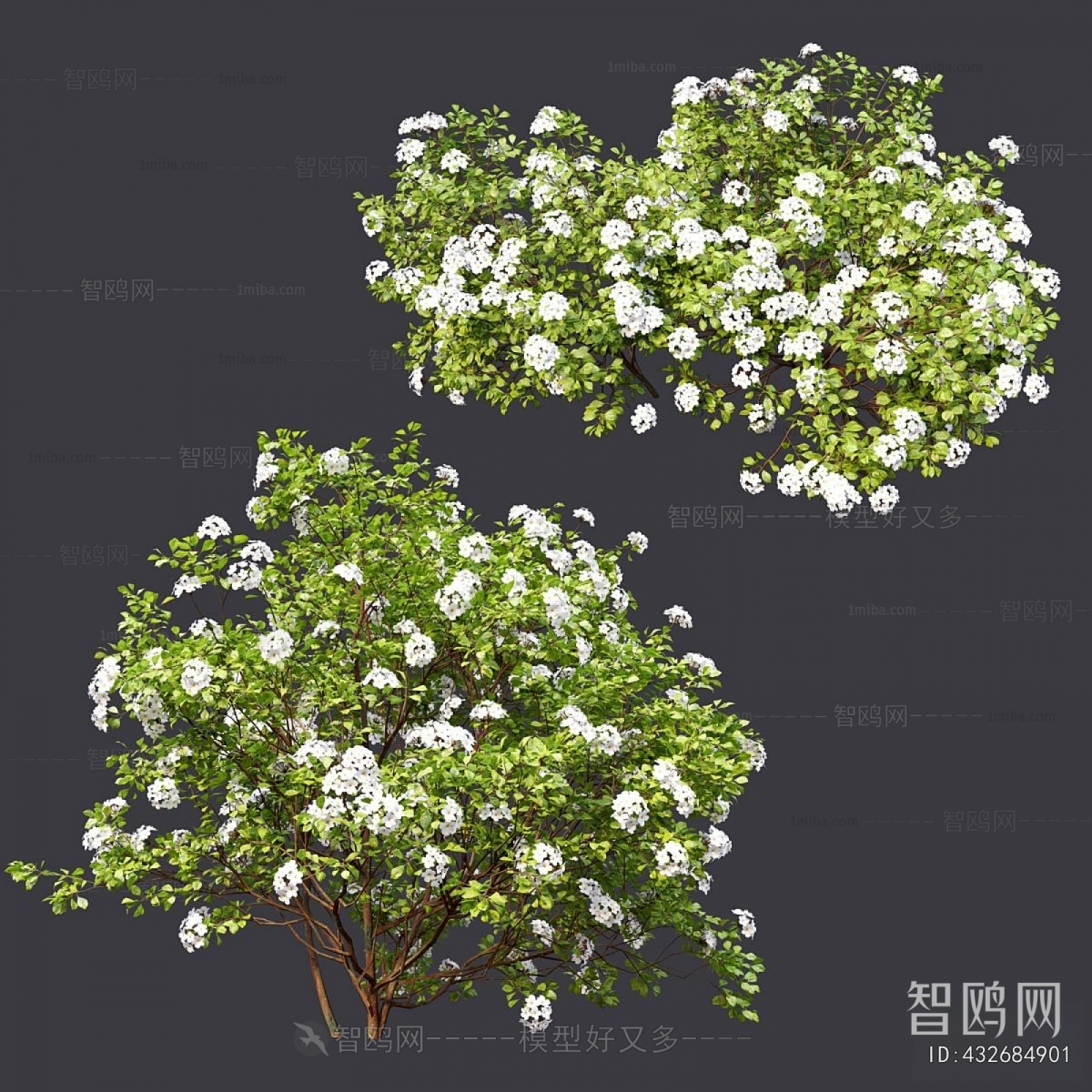 Modern Shrubbery