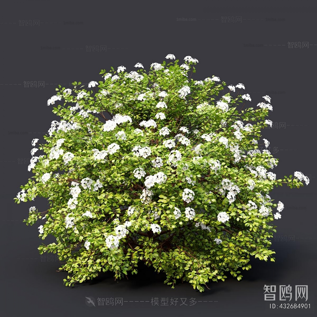 Modern Shrubbery