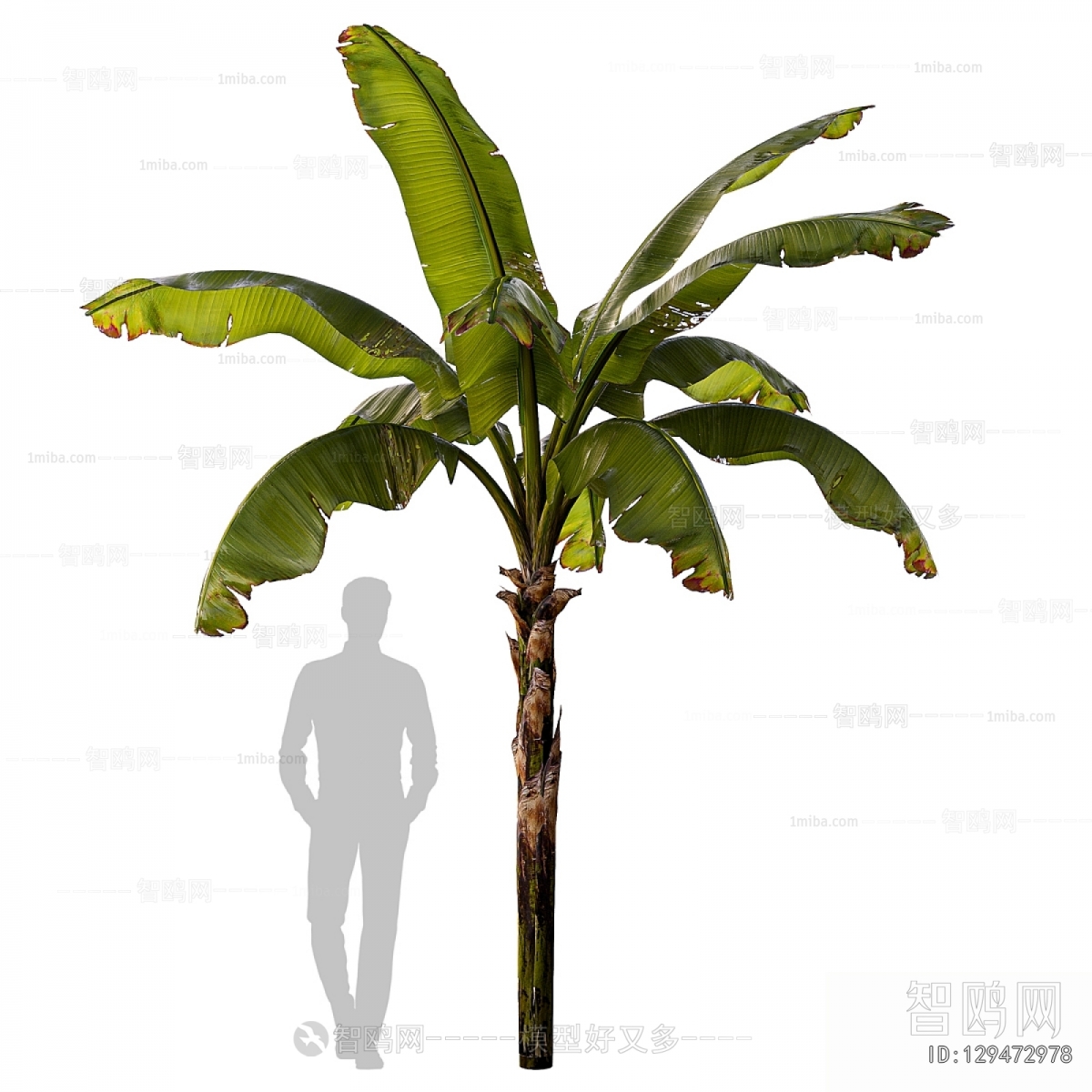 Modern Tree