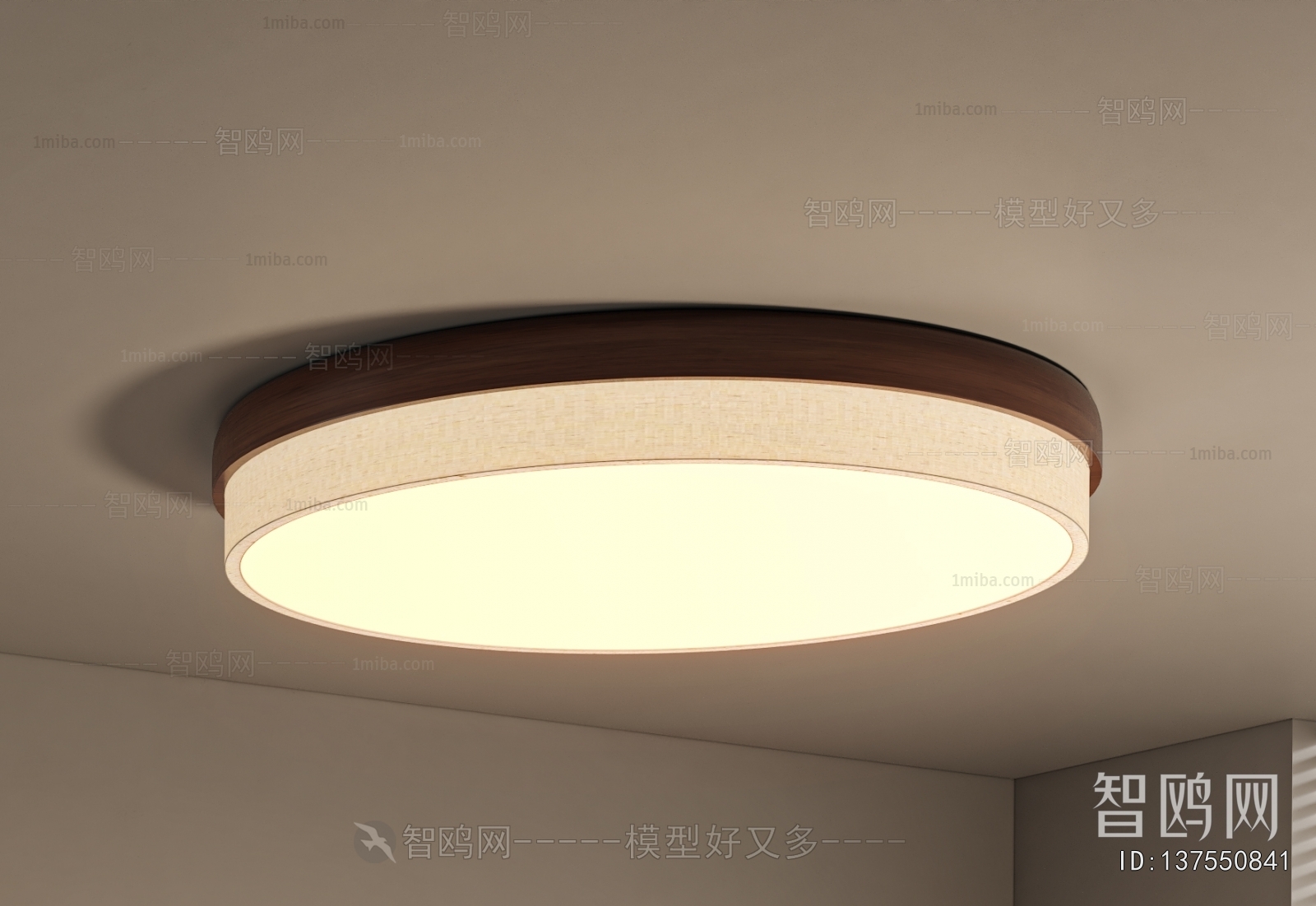 Modern Ceiling Ceiling Lamp