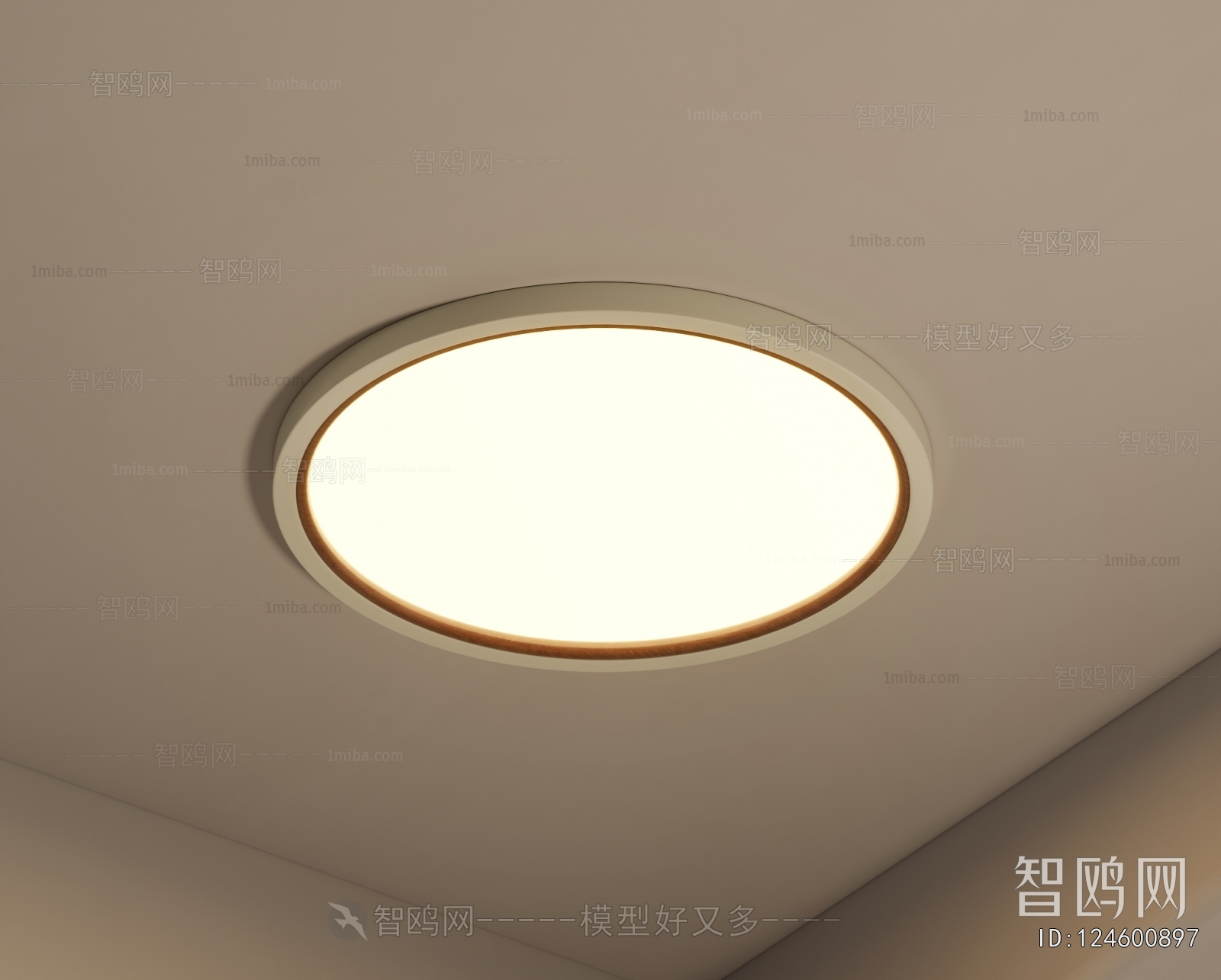Modern Ceiling Ceiling Lamp