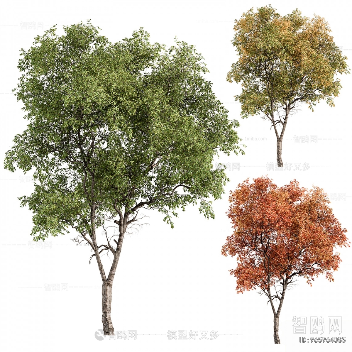 Modern Tree