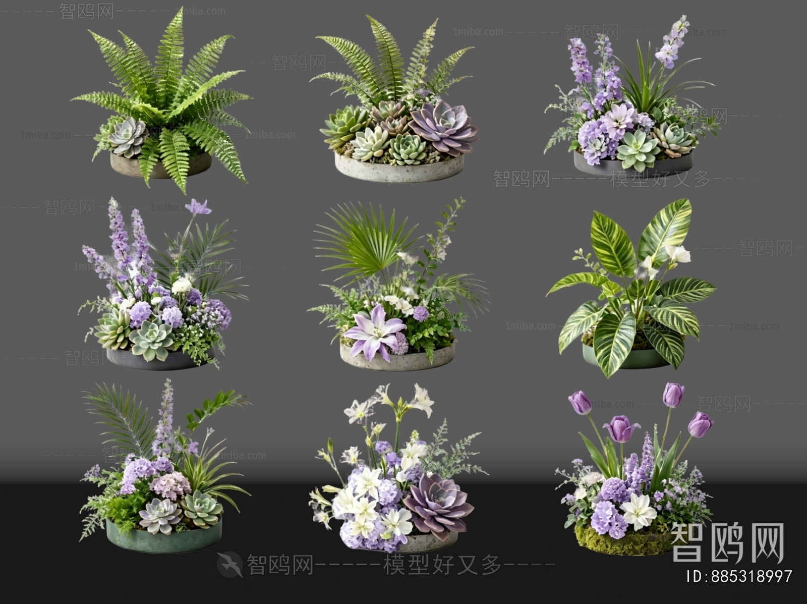 Modern Flowers And Grass