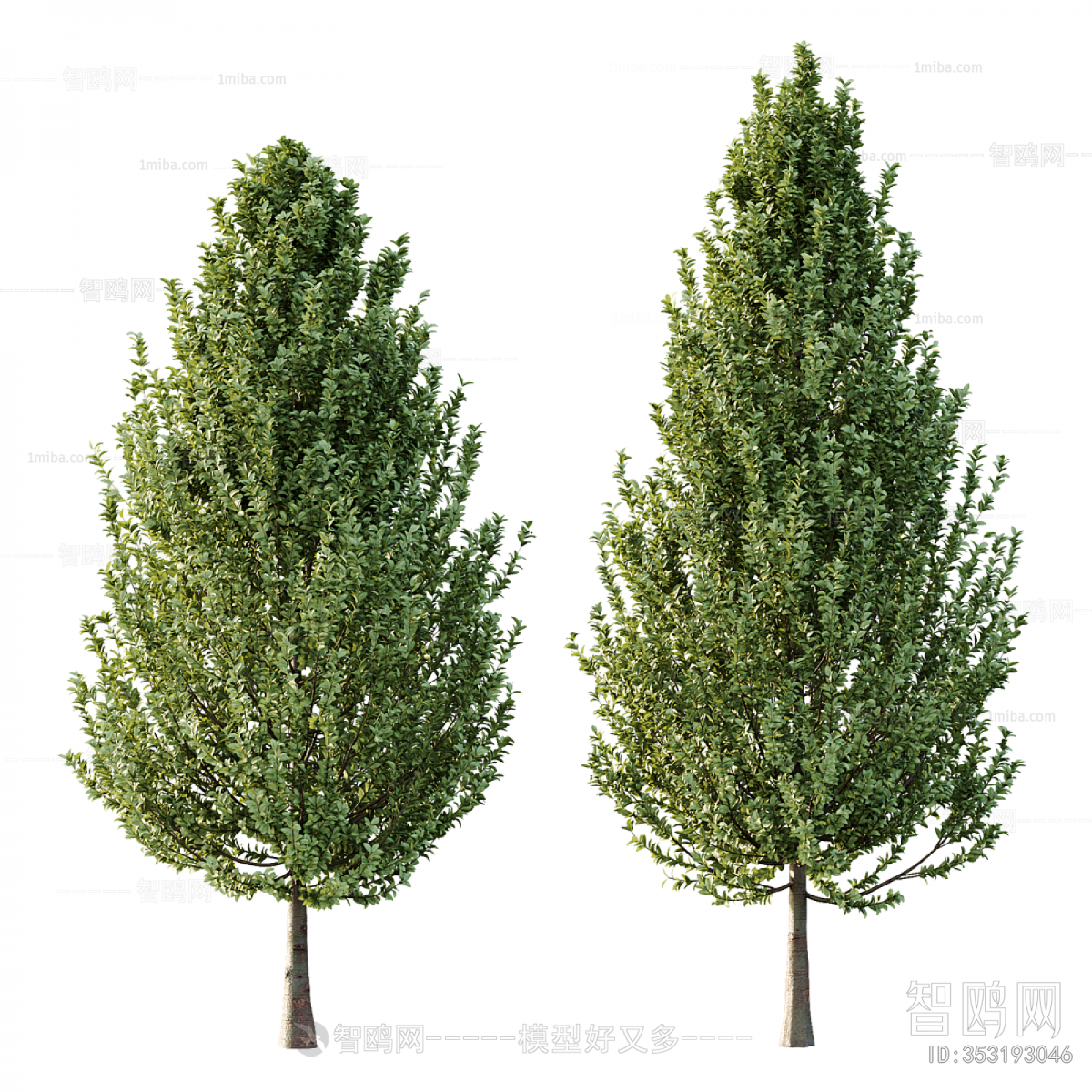 Modern Tree