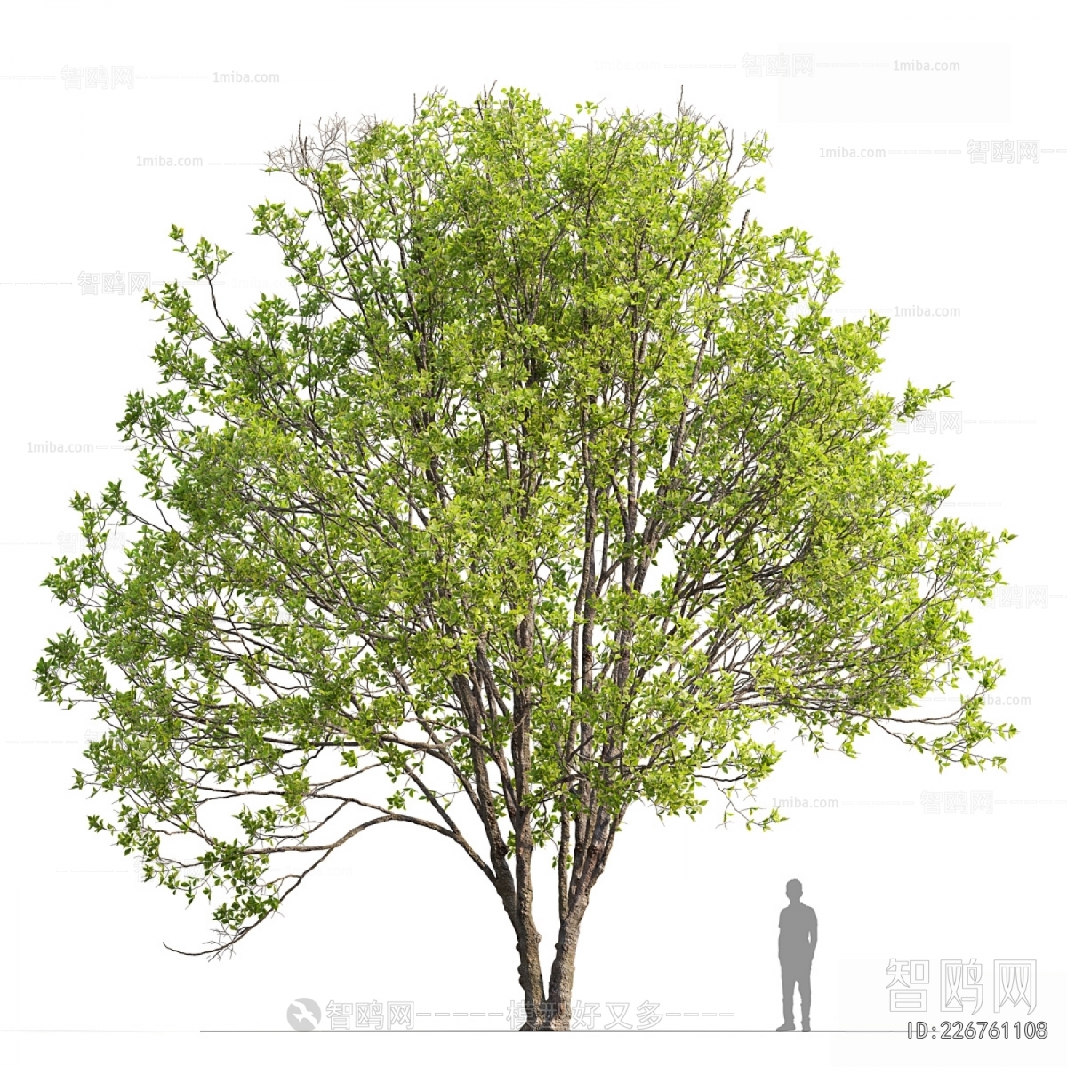 Modern Tree