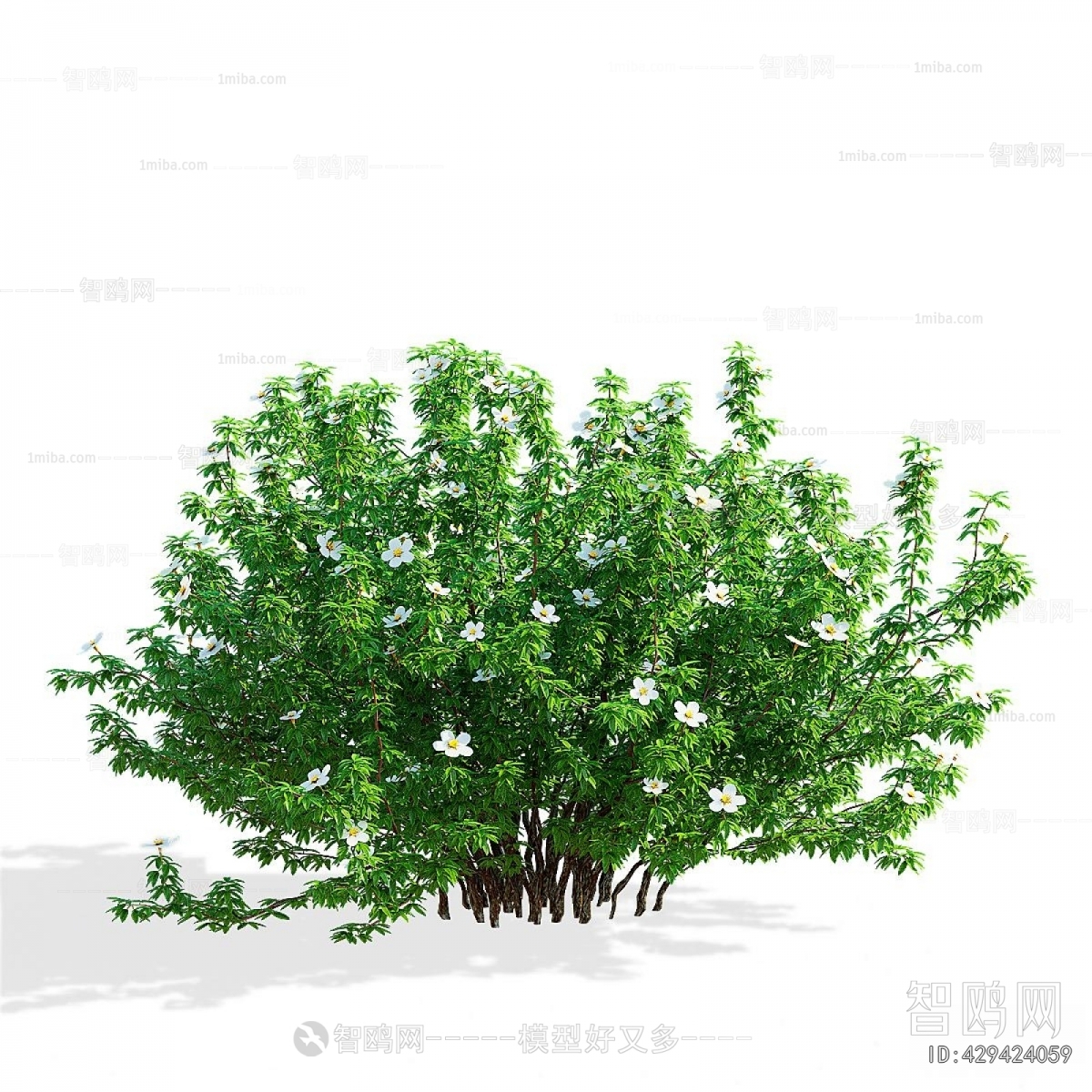 Modern The Grass