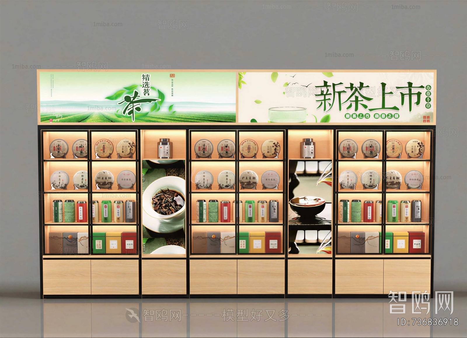 Modern Showcase