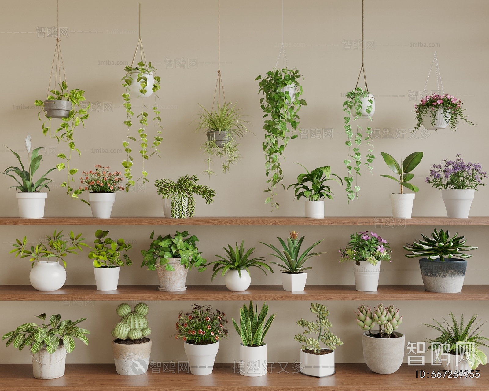 Modern Potted Green Plant