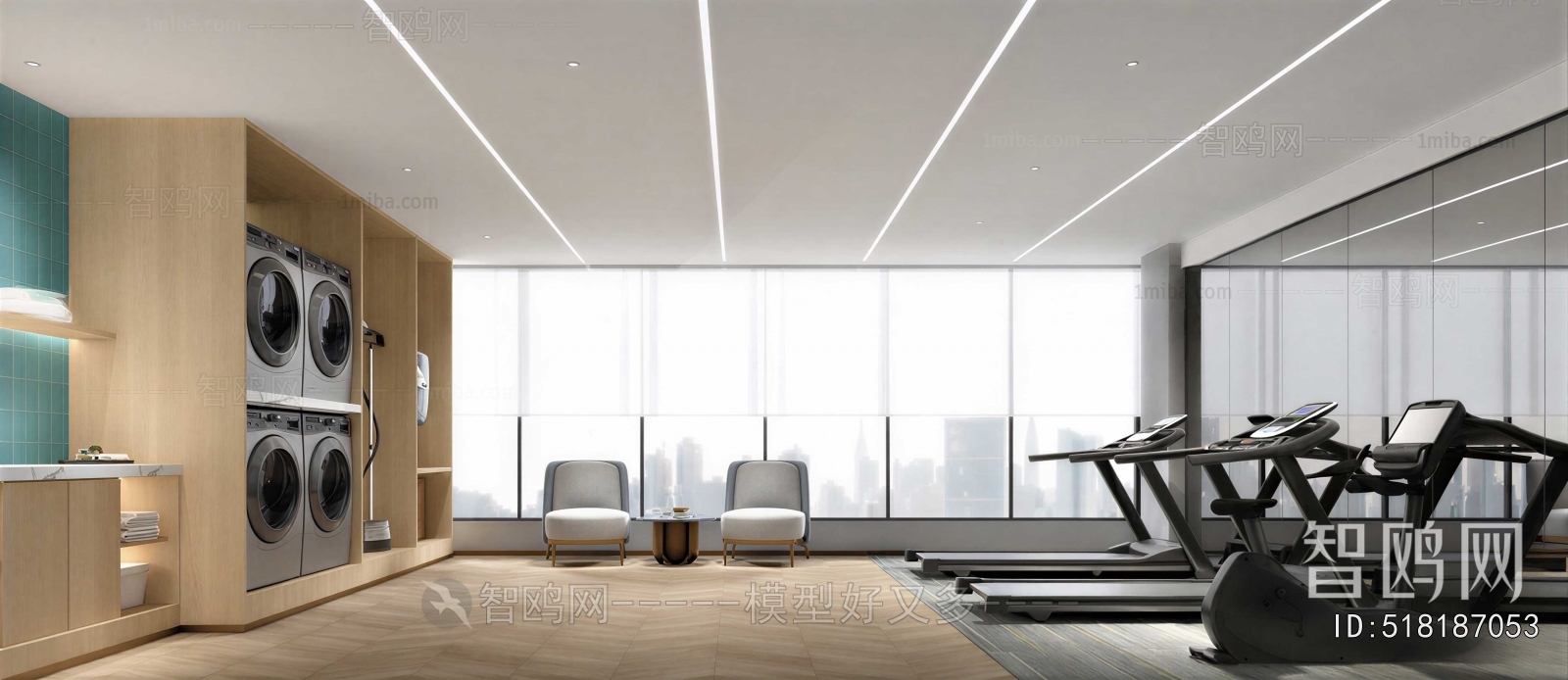 Modern Home Fitness Room