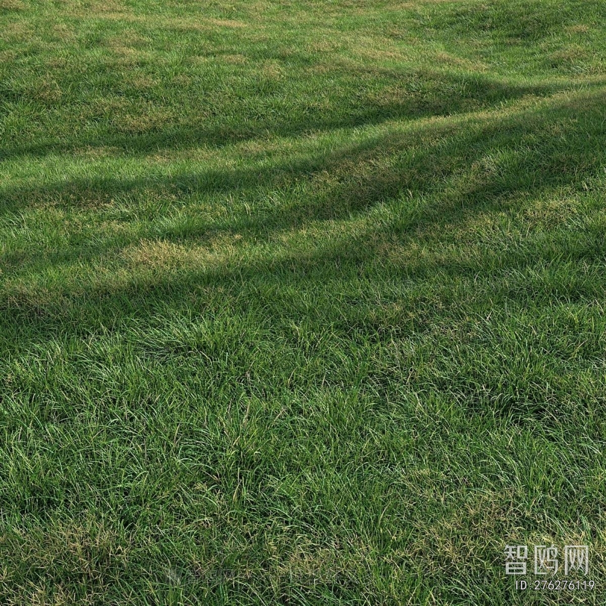 Modern The Grass
