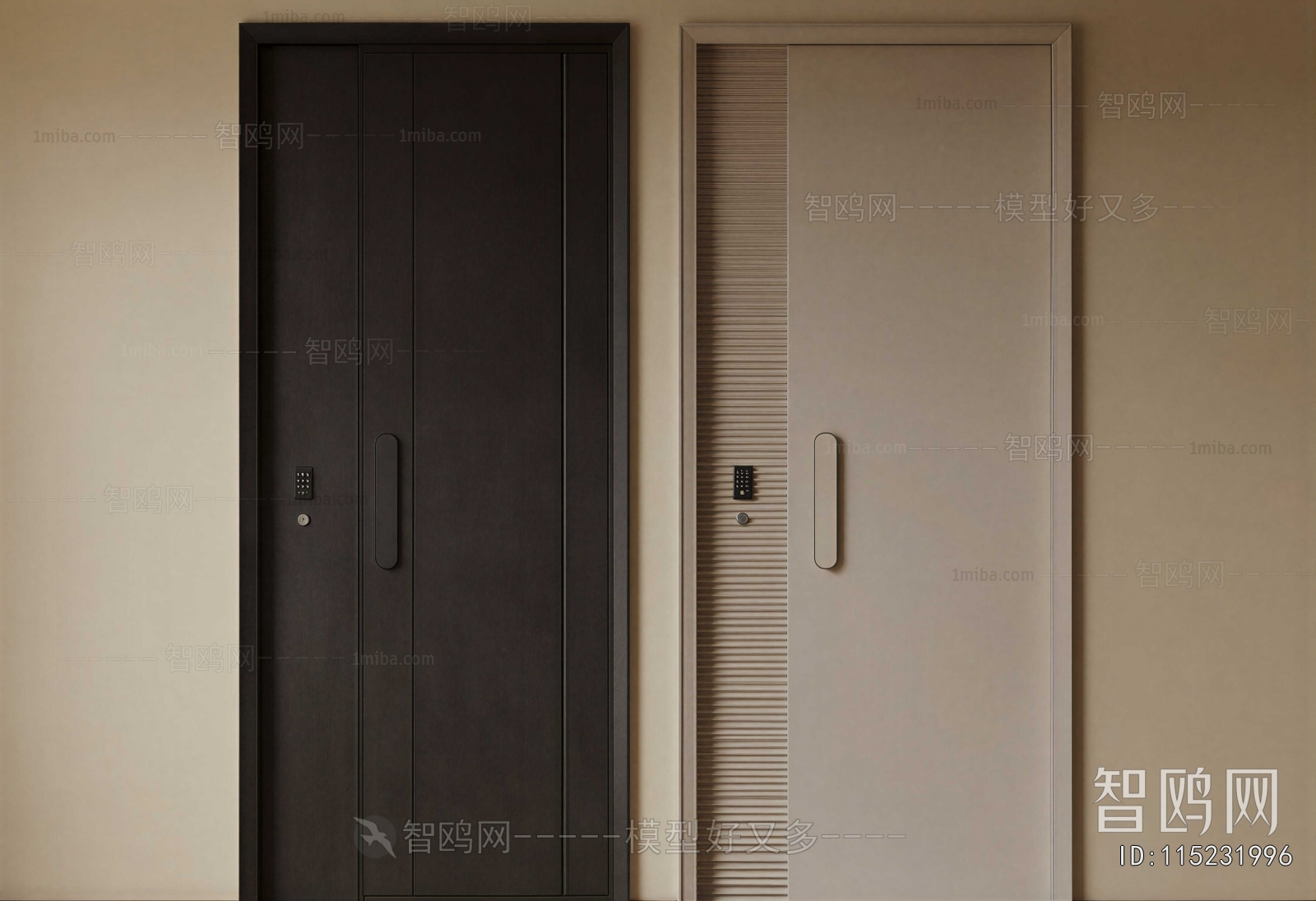 Modern Entrance Door