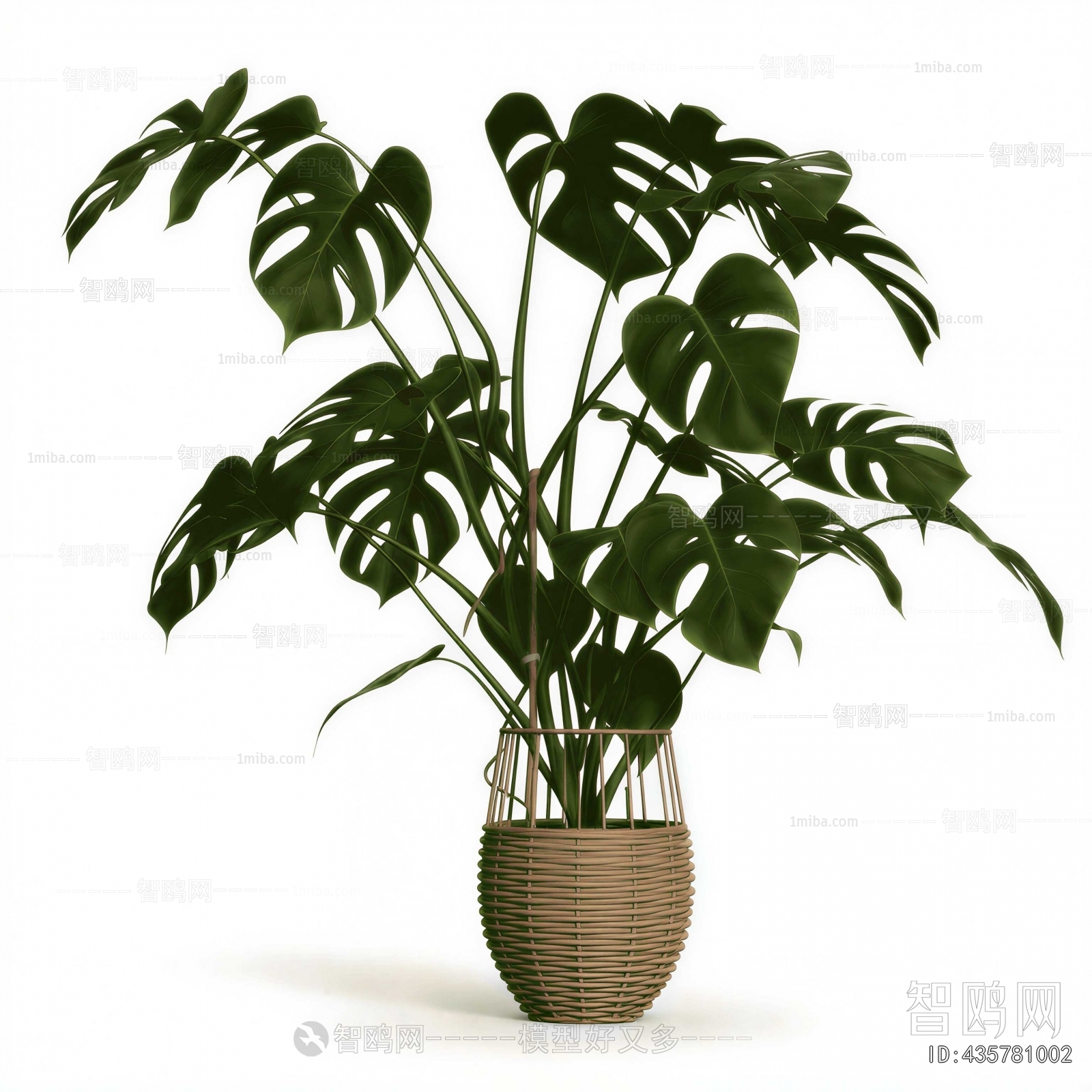 Modern Potted Green Plant