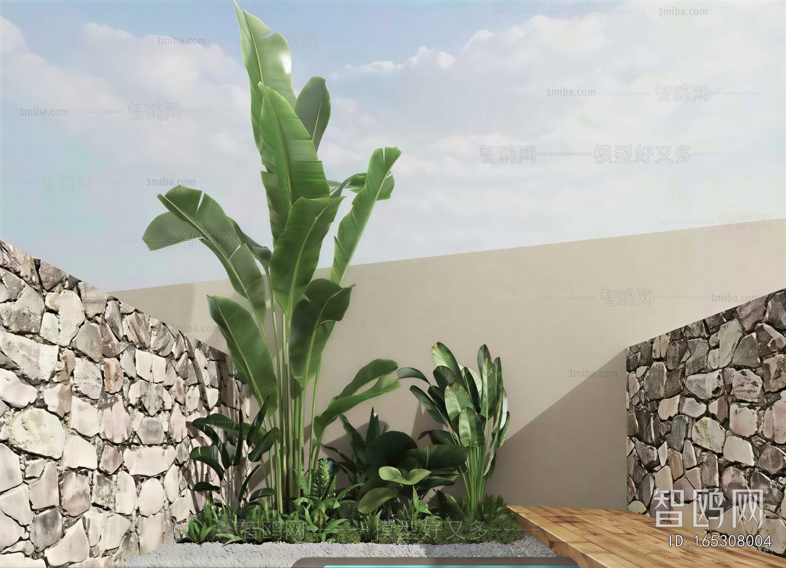 Modern Plant Landscaping