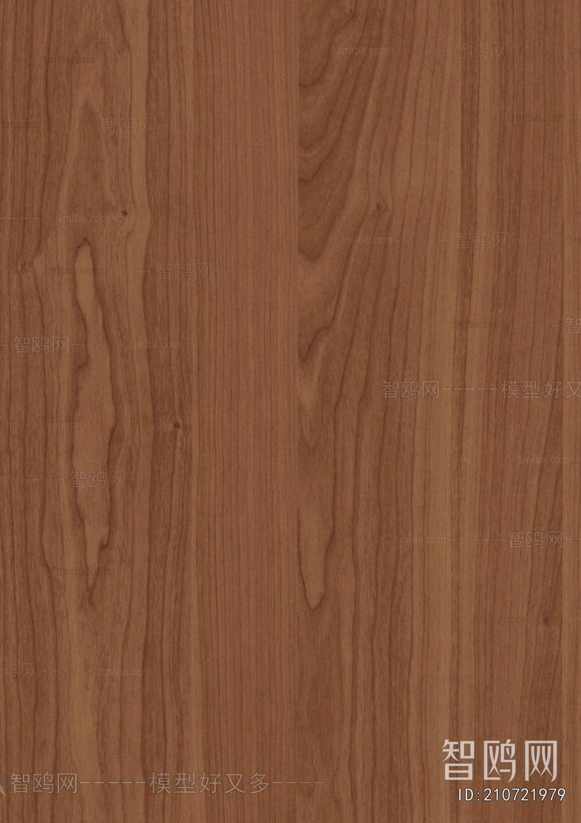 Wood Texture
