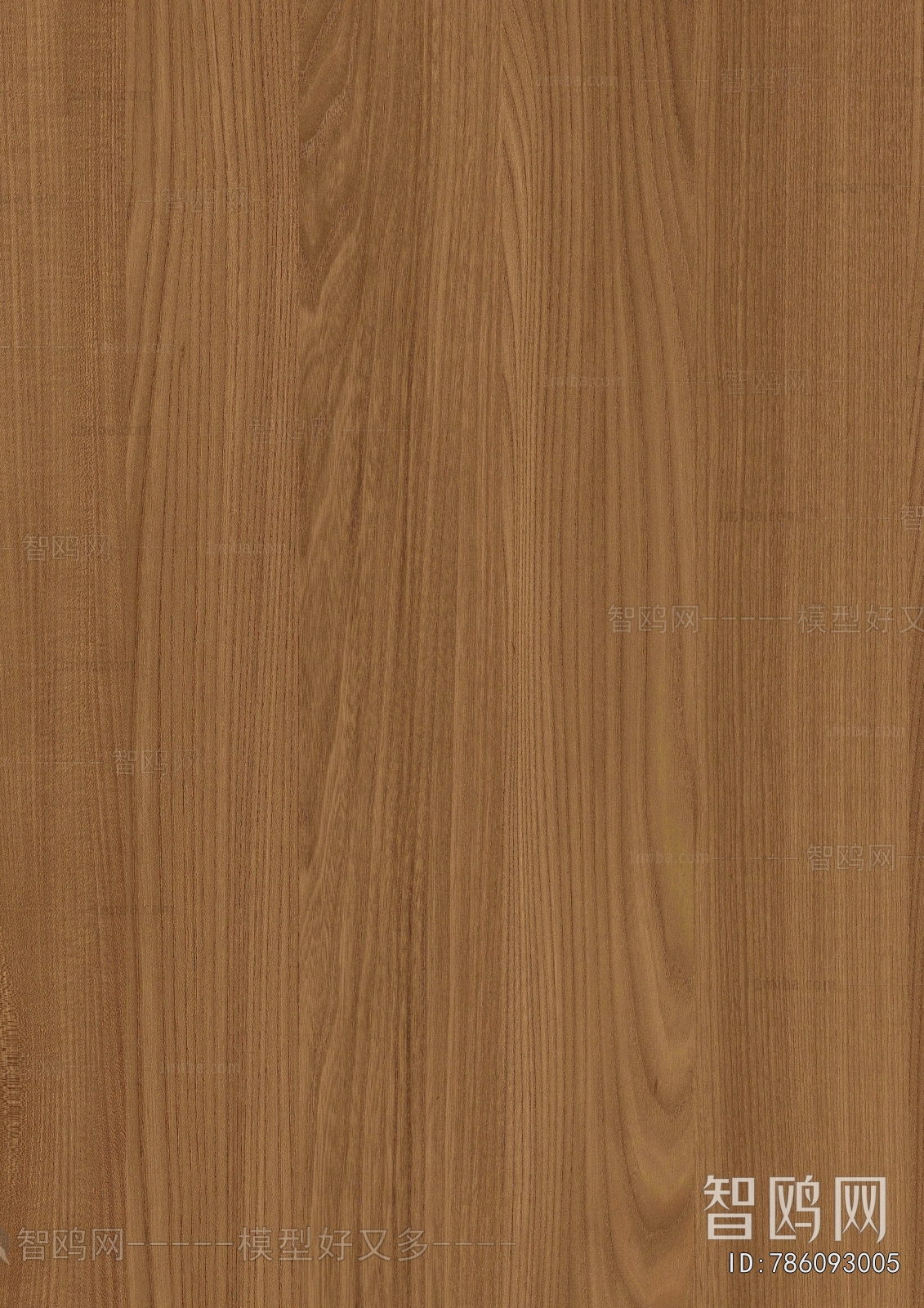 Wood Texture