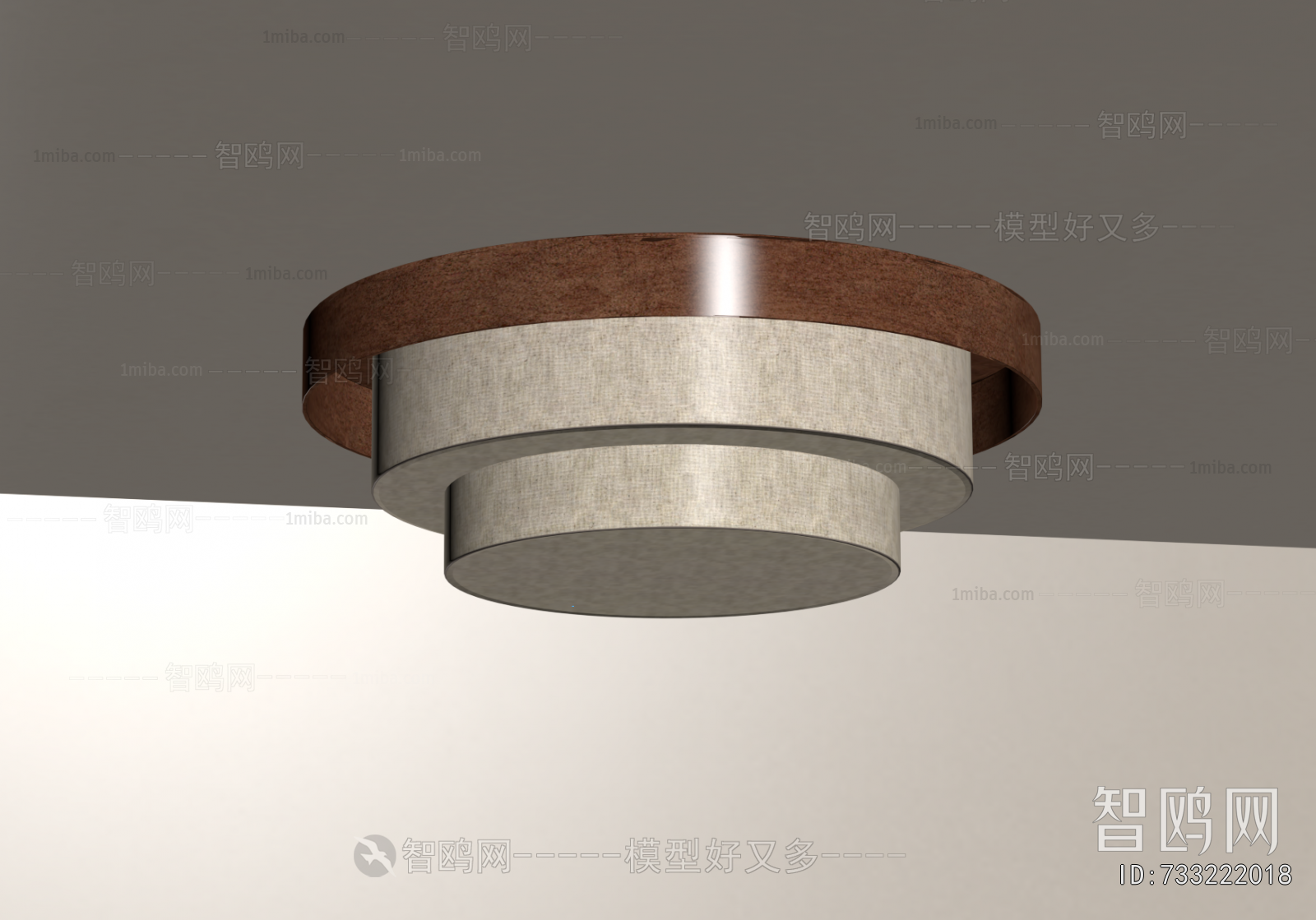 Modern Ceiling Ceiling Lamp