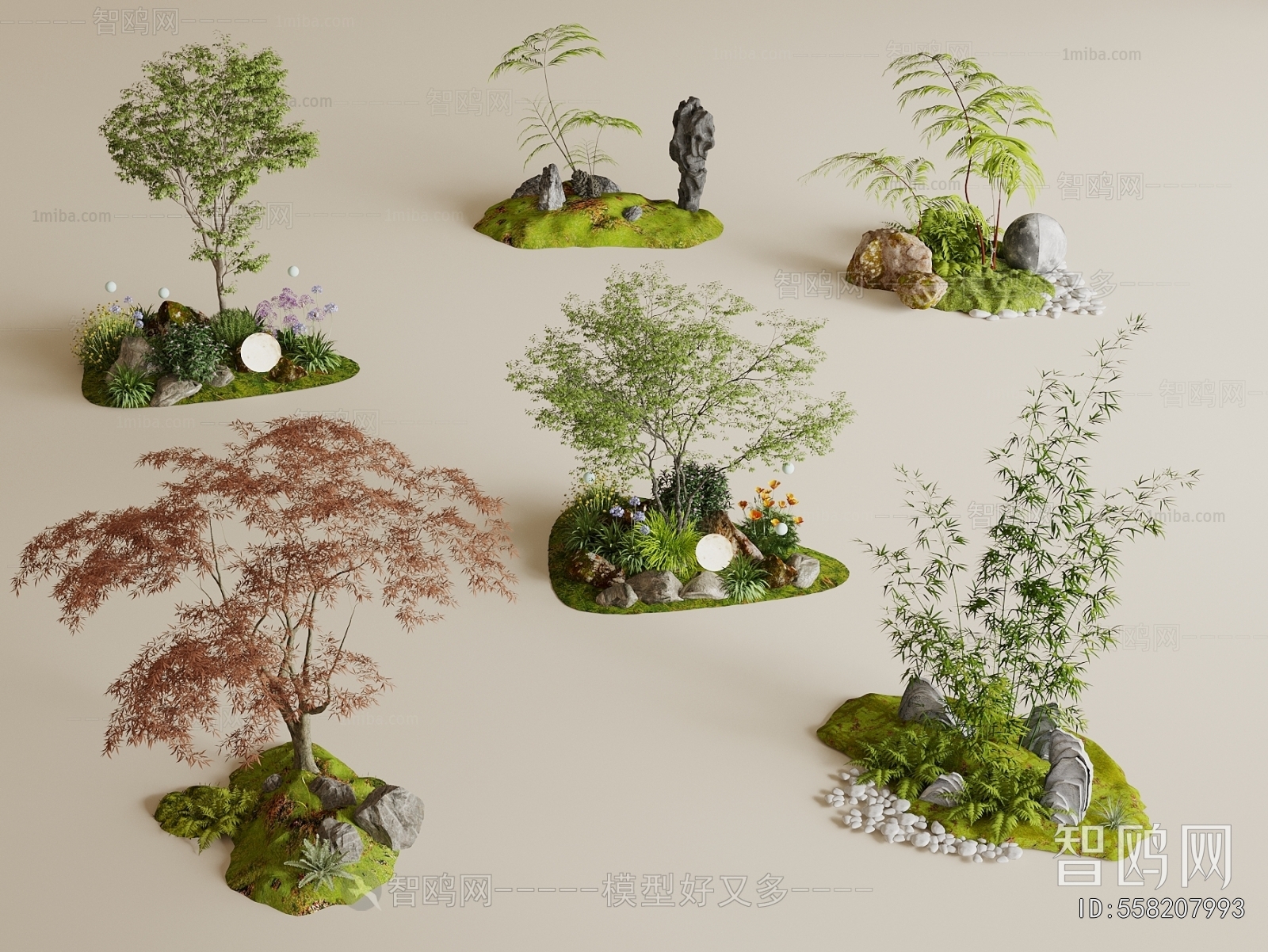 Modern Plant Landscaping