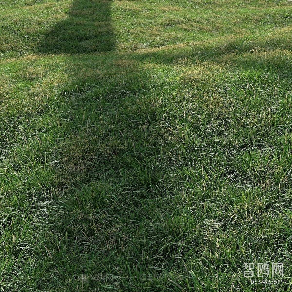 Modern The Grass