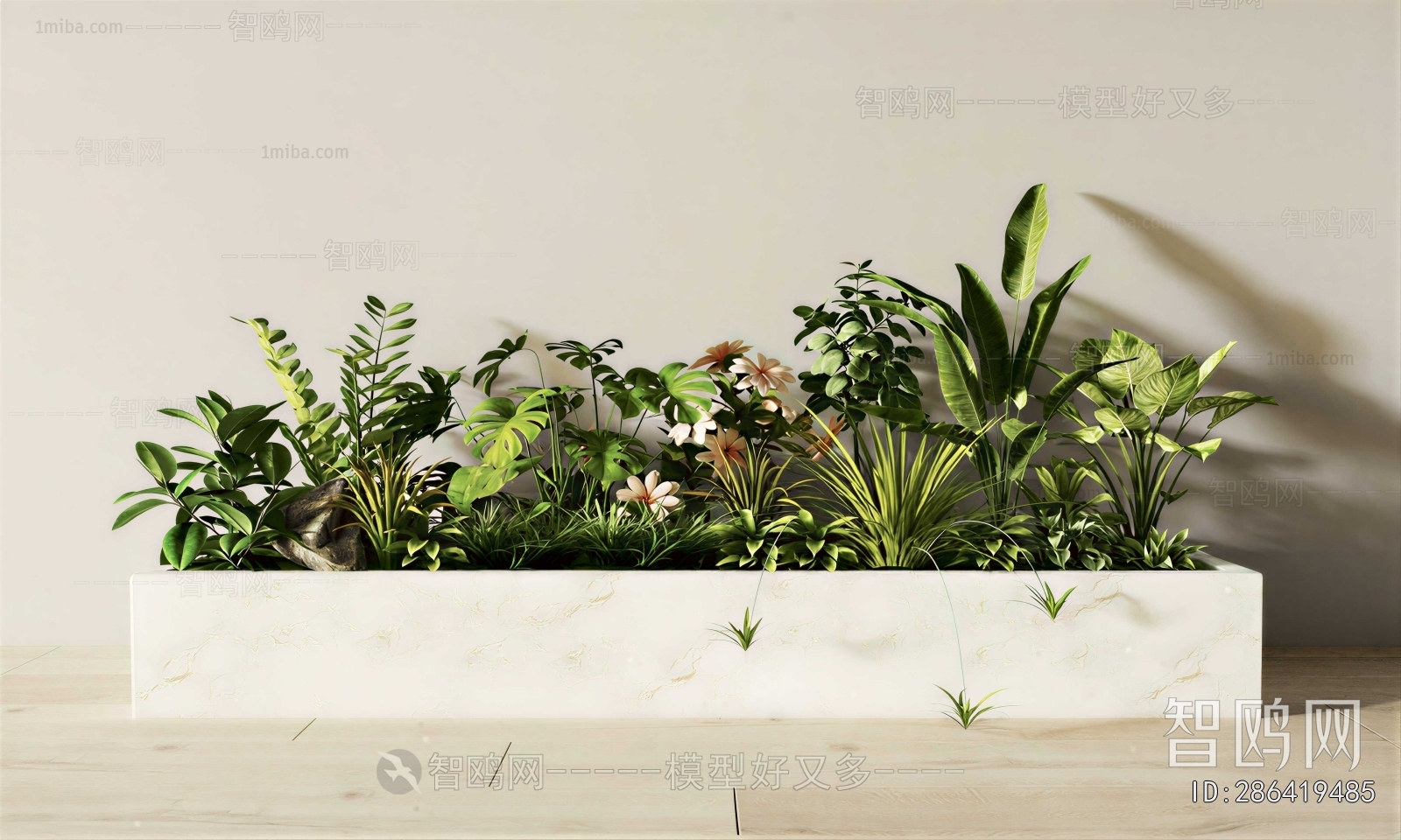 Modern Flower Bed, Flower Bowl, Flower Box